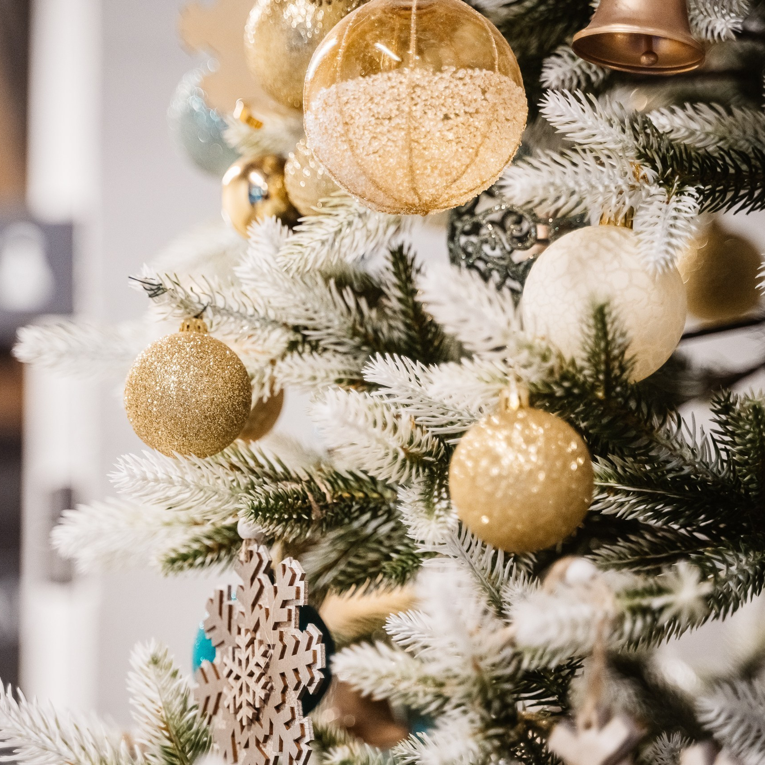 Отзывы. Фотограф Леонид Смирнов | Репортажи | Автосъемки | Выпускные