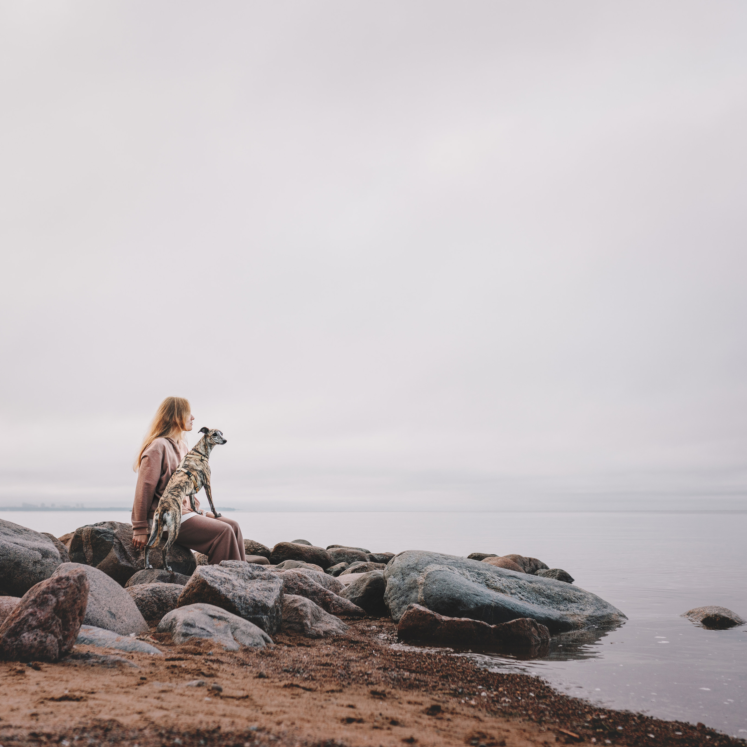 Прайс. Фотограф анималист Осипчикова Мария