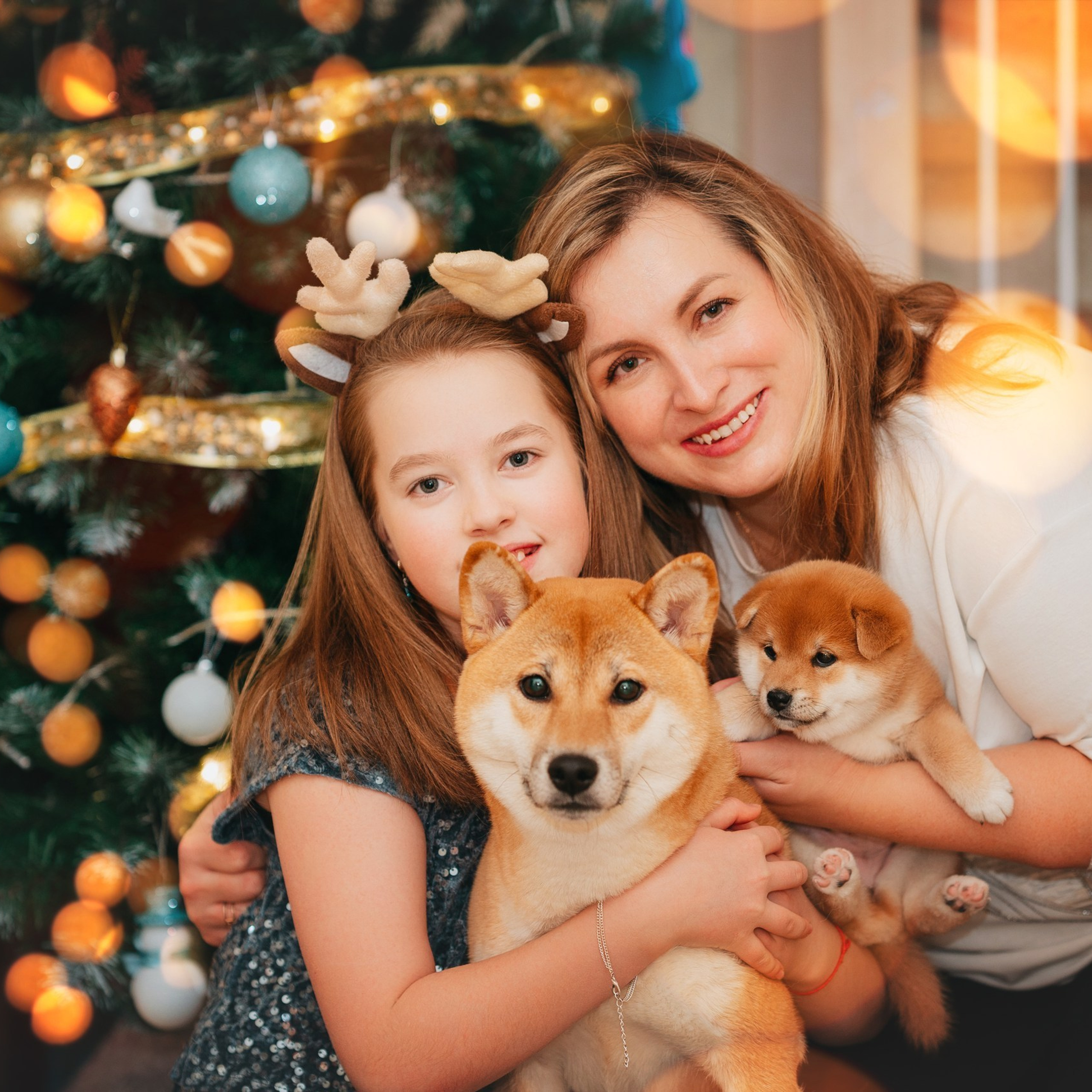 Отзывы. Фотограф анималист Осипчикова Мария