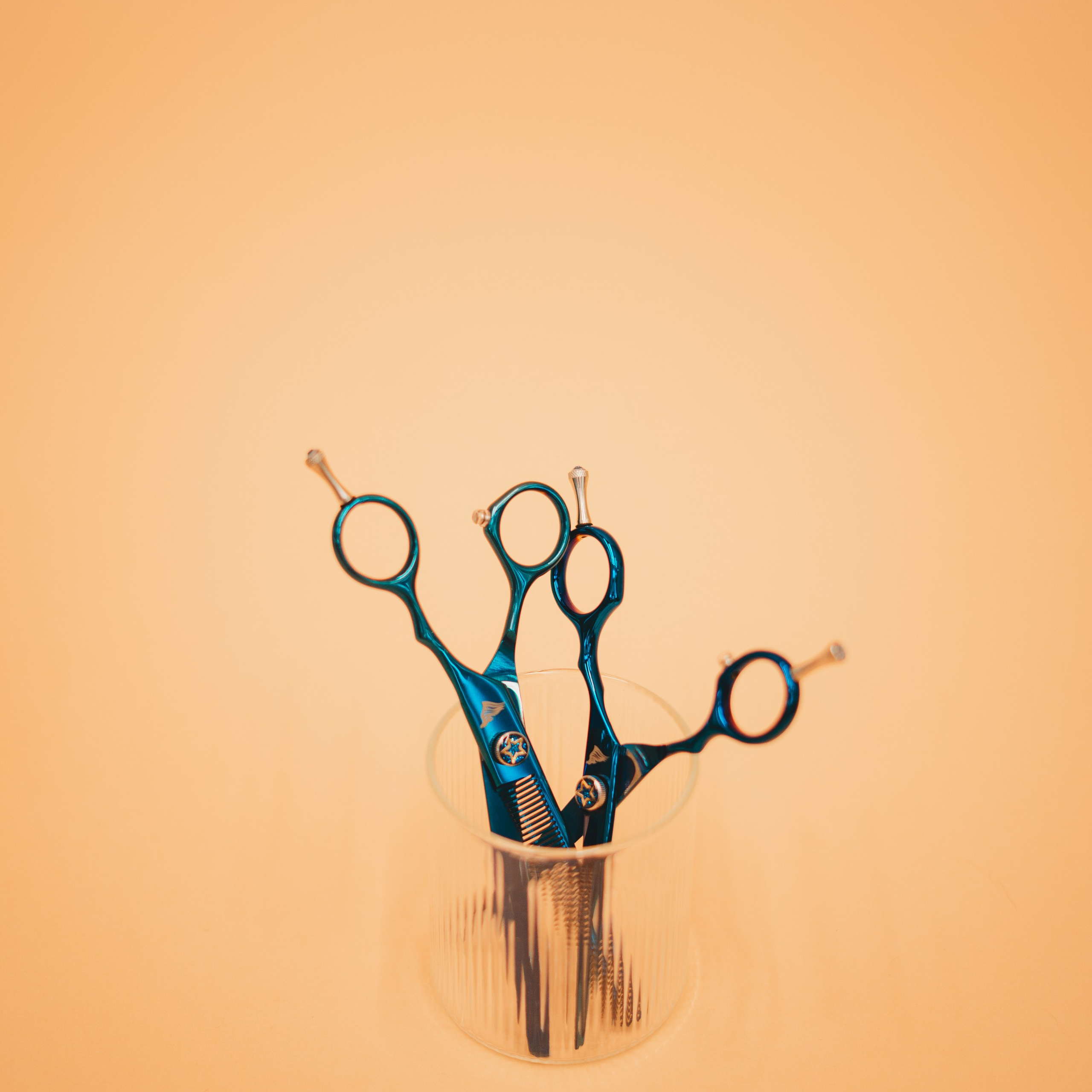 Груминг — салон