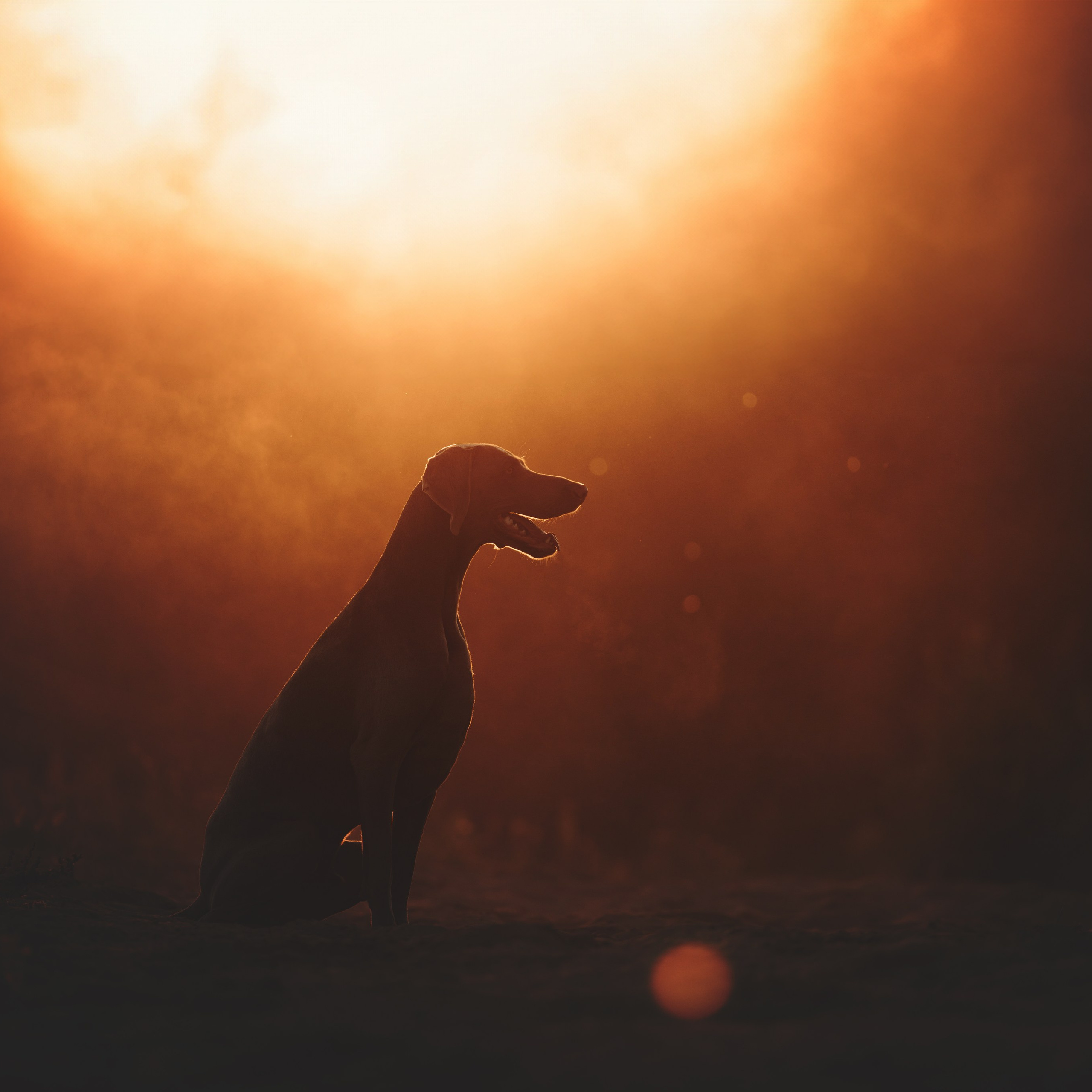 Юля и Эспен