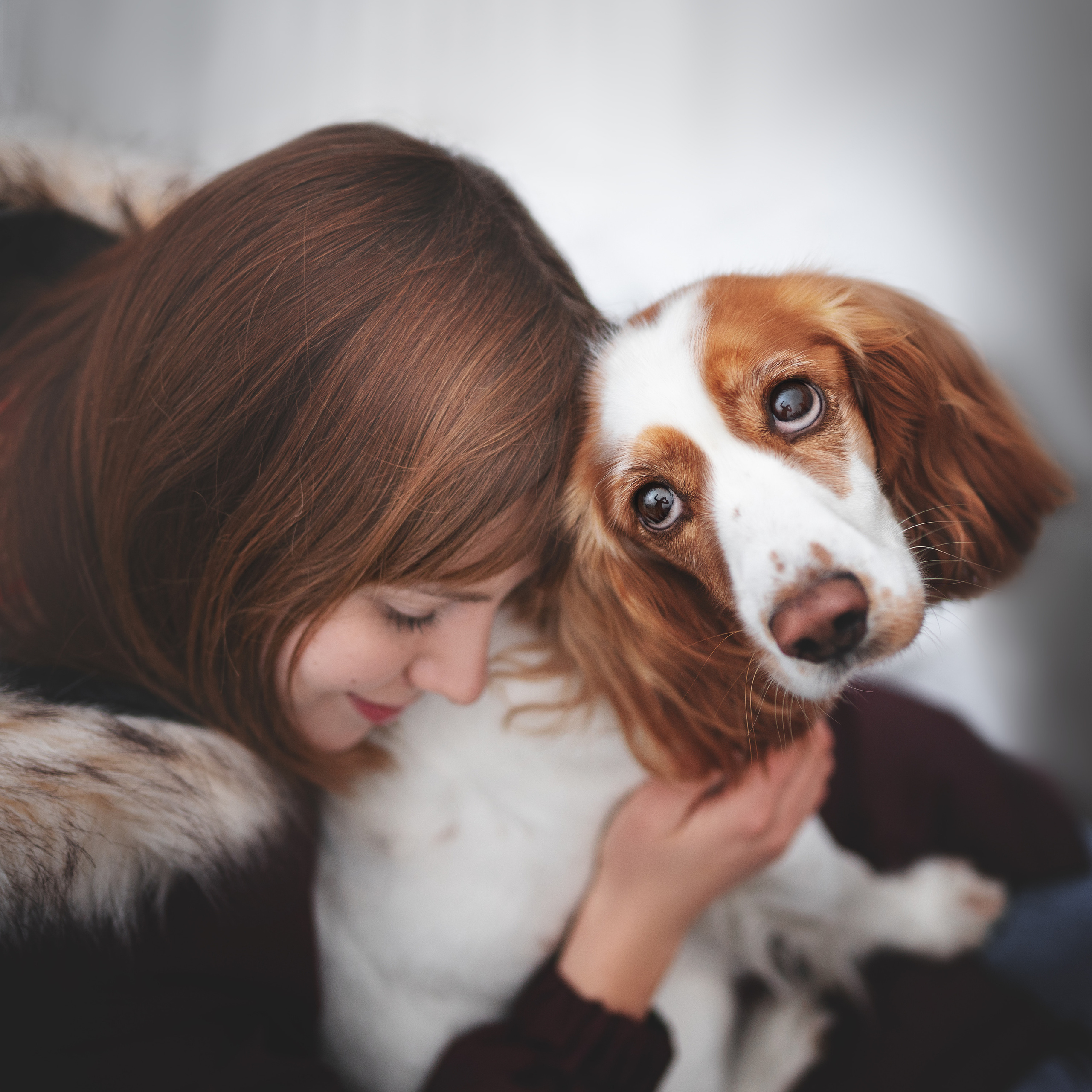 Прайс. Фотограф анималист Осипчикова Мария