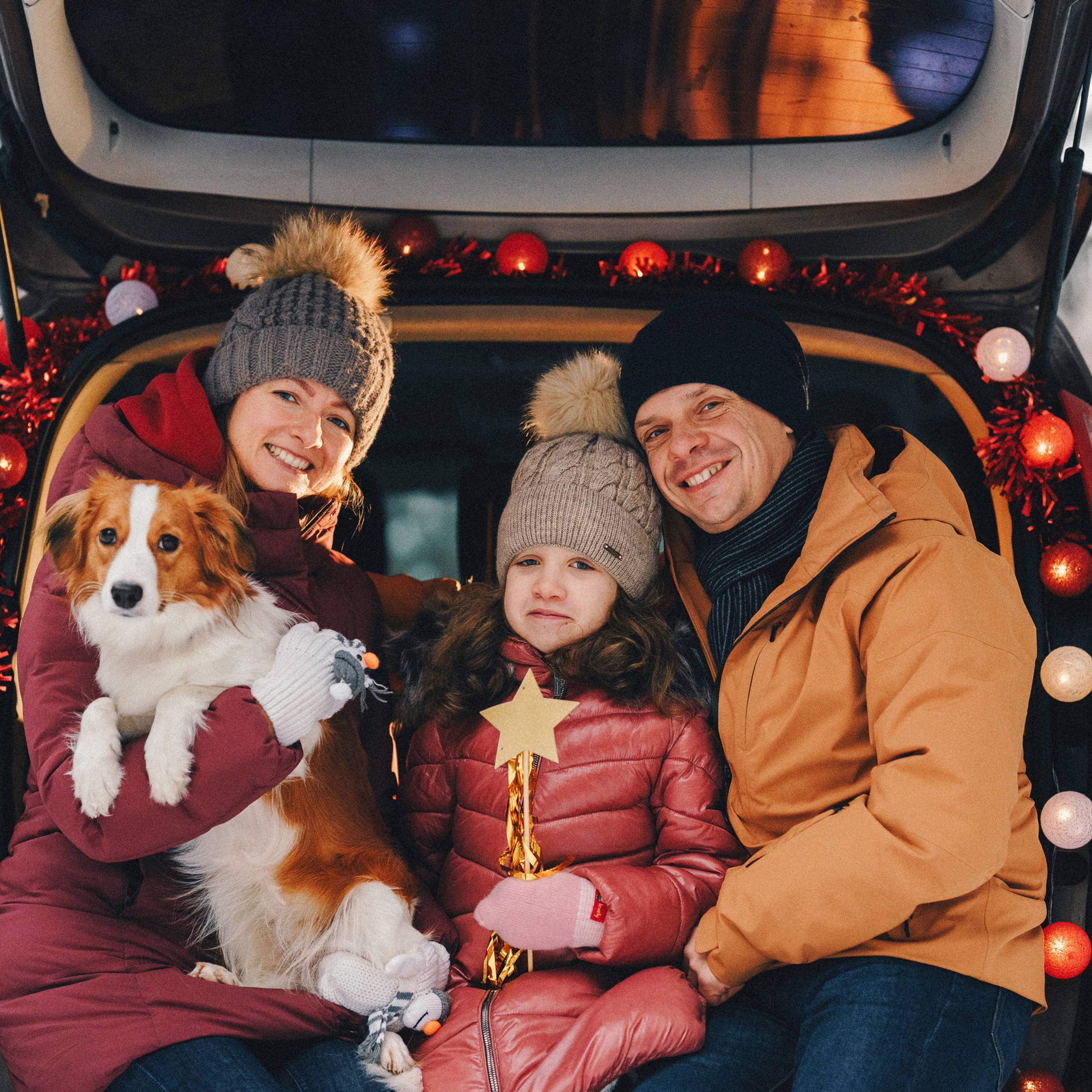 Отзывы. Фотограф анималист Осипчикова Мария