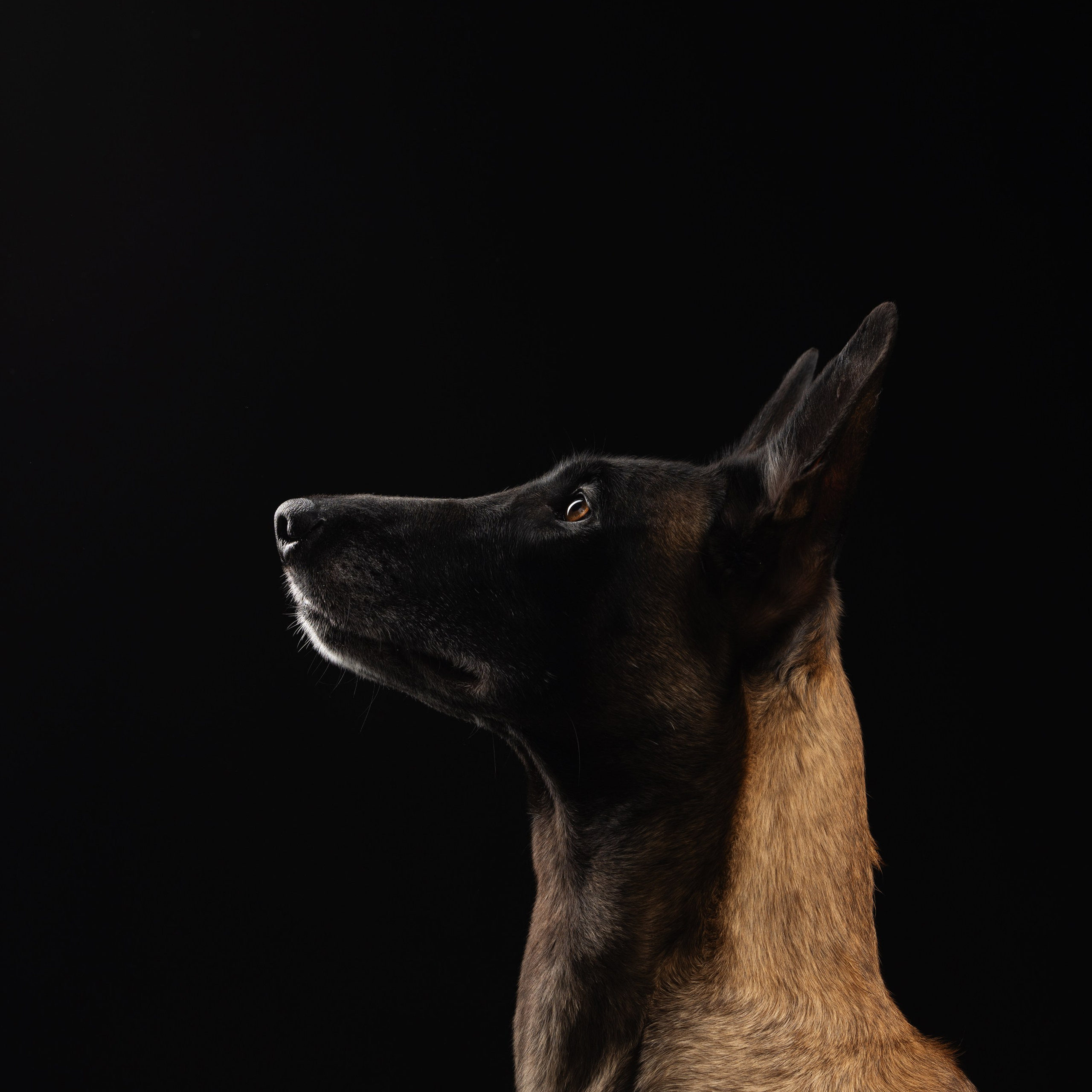 Жара и Делфи