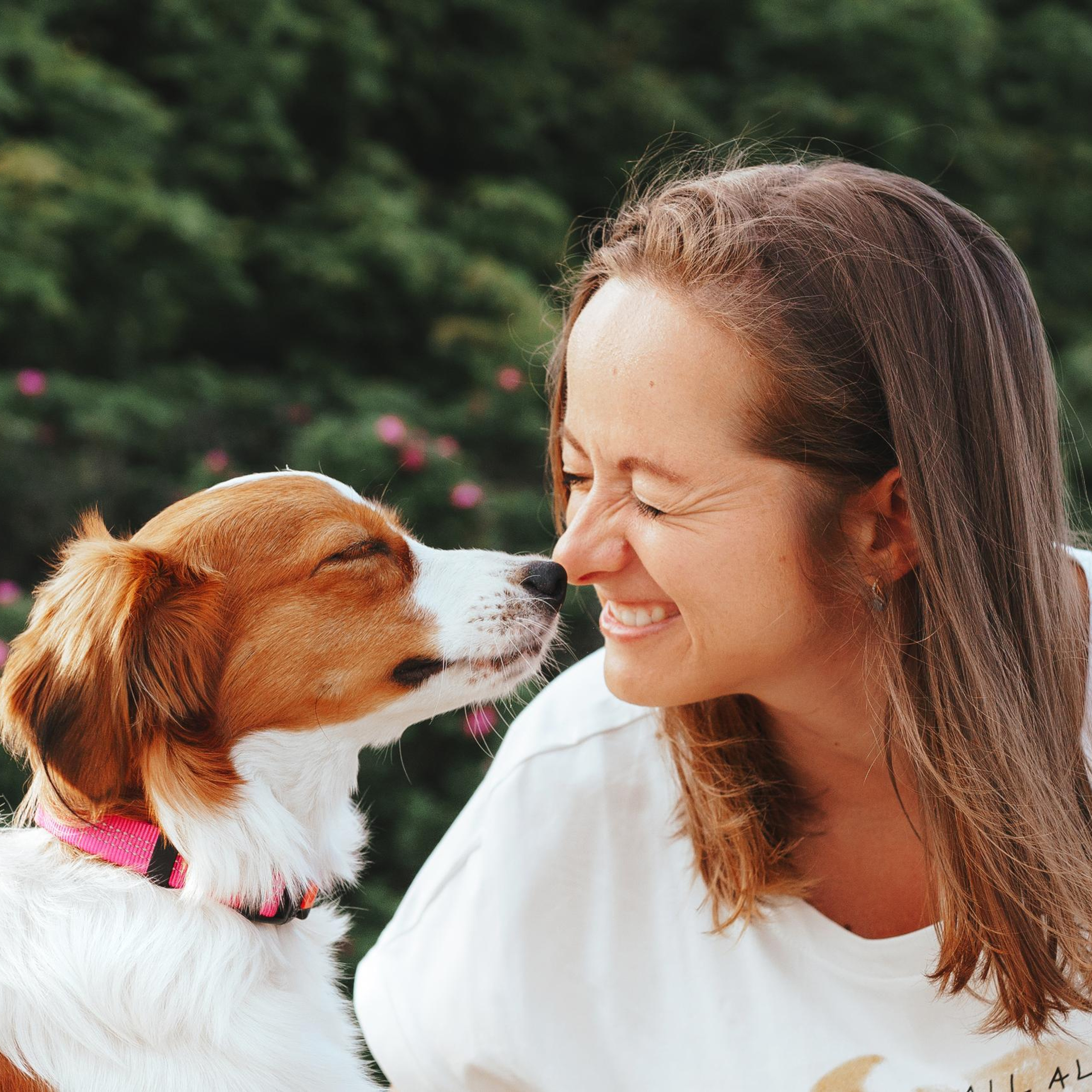 Отзывы. Фотограф анималист Осипчикова Мария