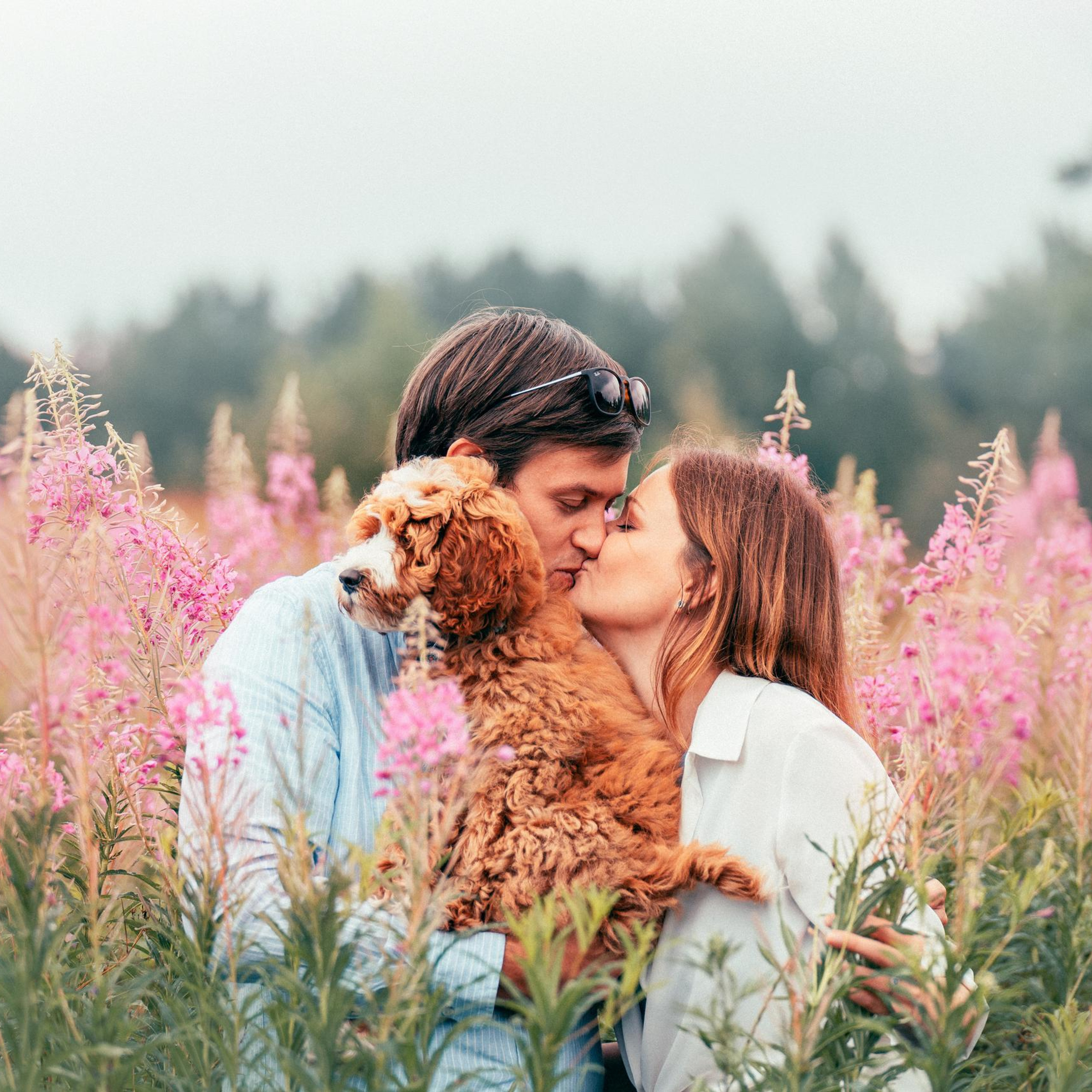 Отзывы. Фотограф анималист Осипчикова Мария