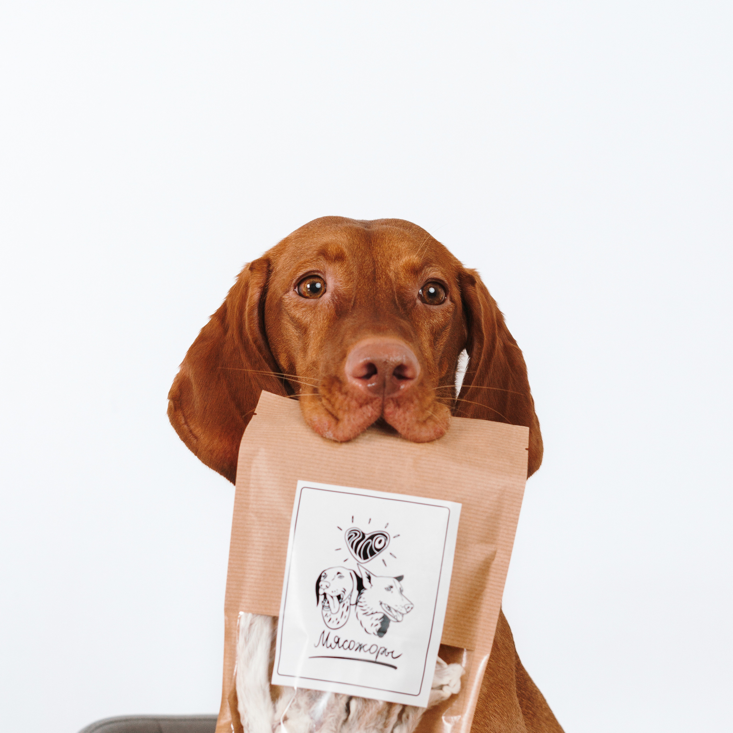 Сушенные лакомства