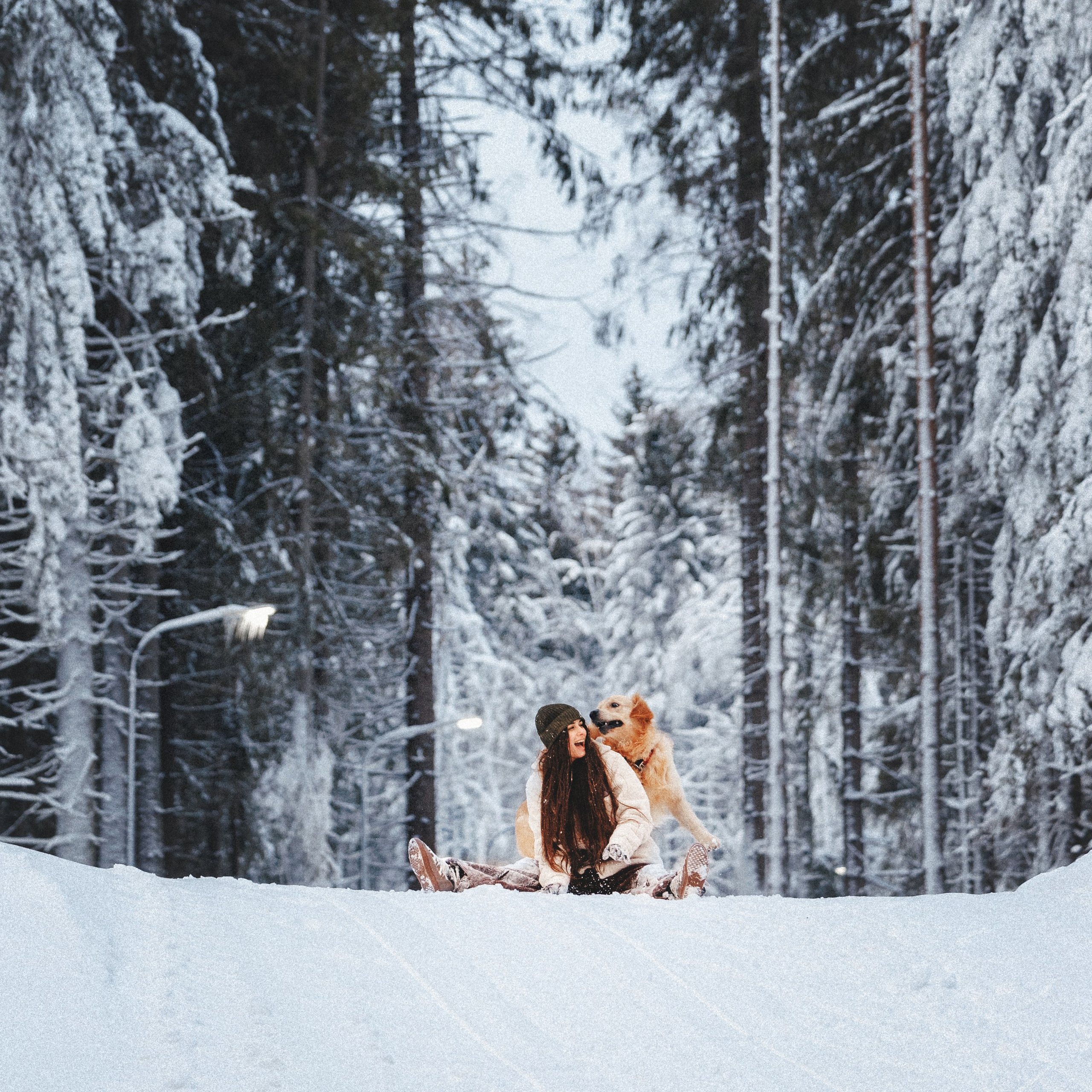 Отзывы. Фотограф анималист Осипчикова Мария