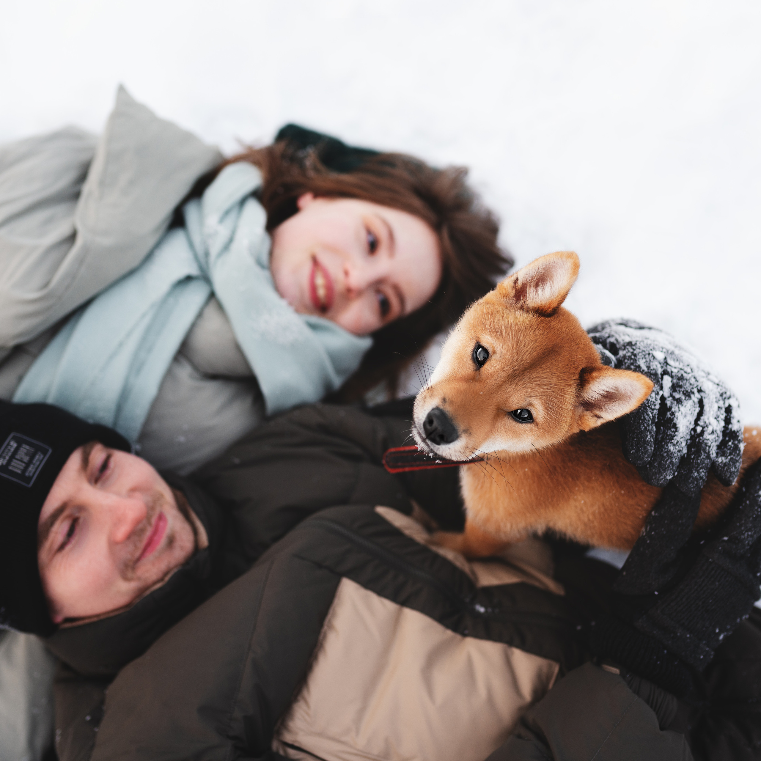 Прайс. Фотограф анималист Осипчикова Мария
