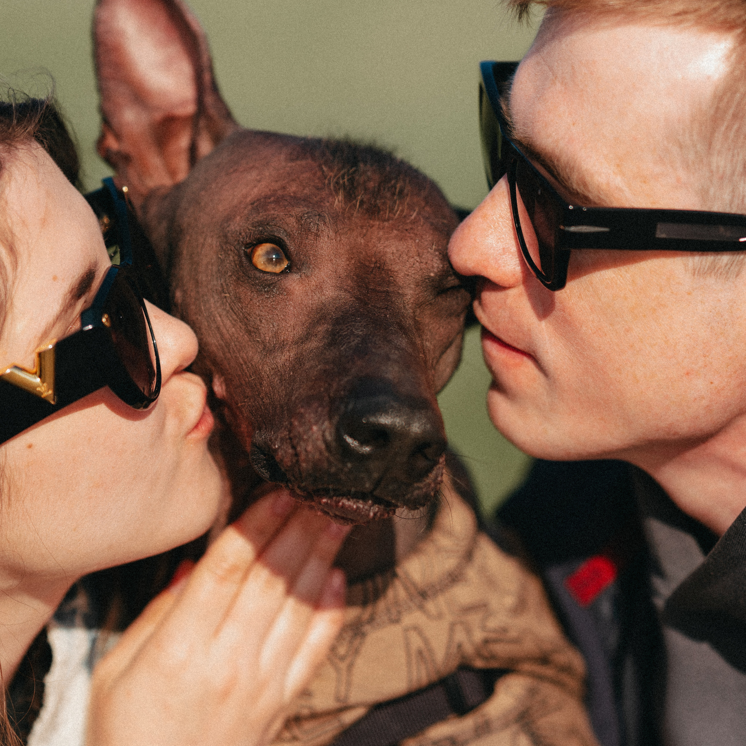 Отзывы. Фотограф анималист Осипчикова Мария