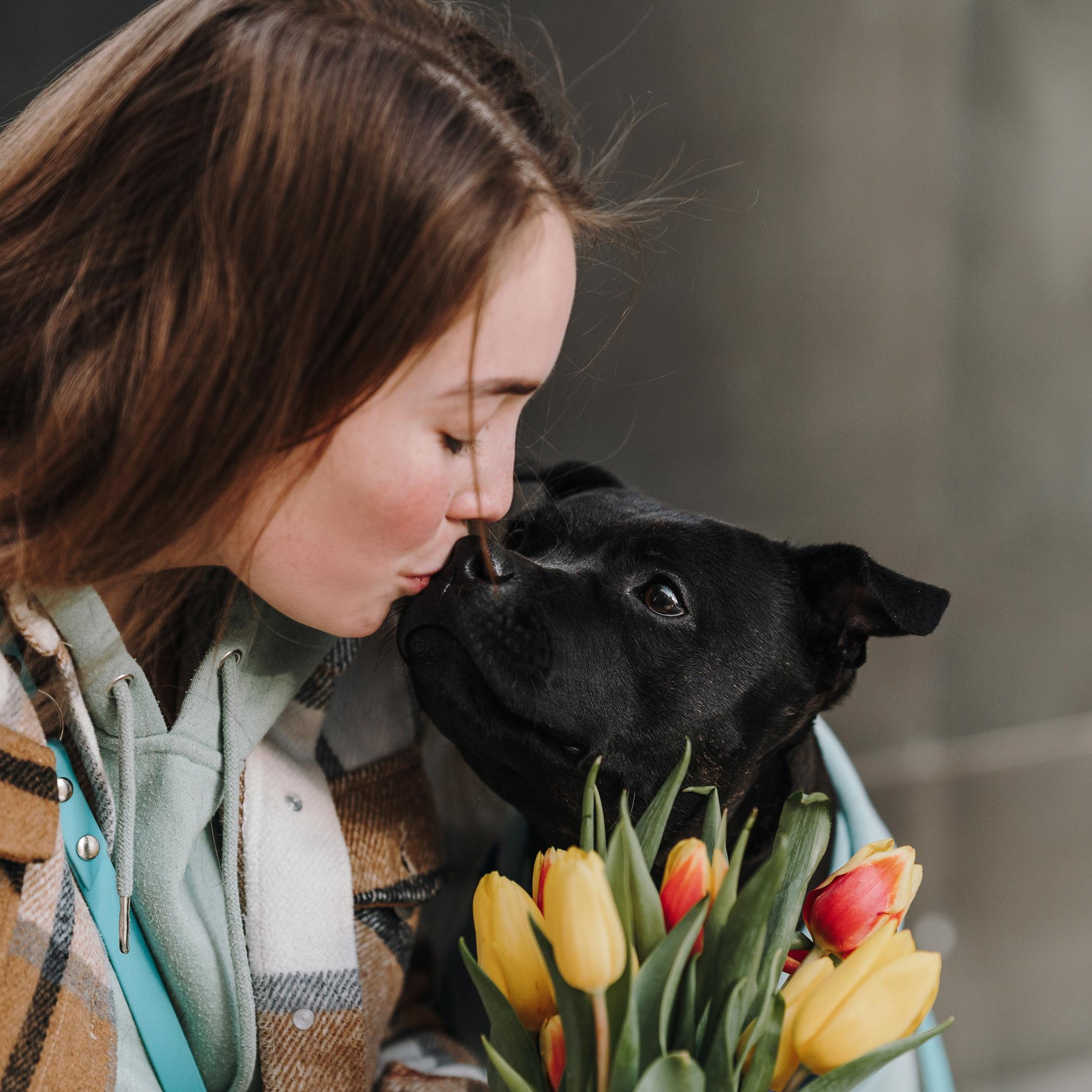 Отзывы. Фотограф анималист Осипчикова Мария