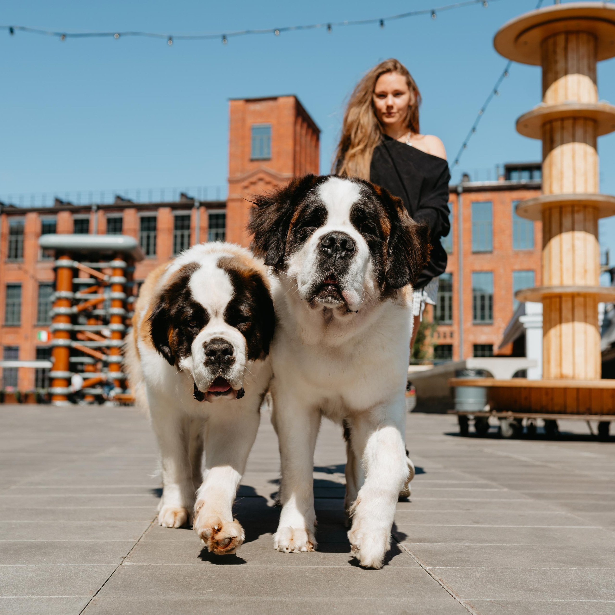 Оля, Молли и Эмми