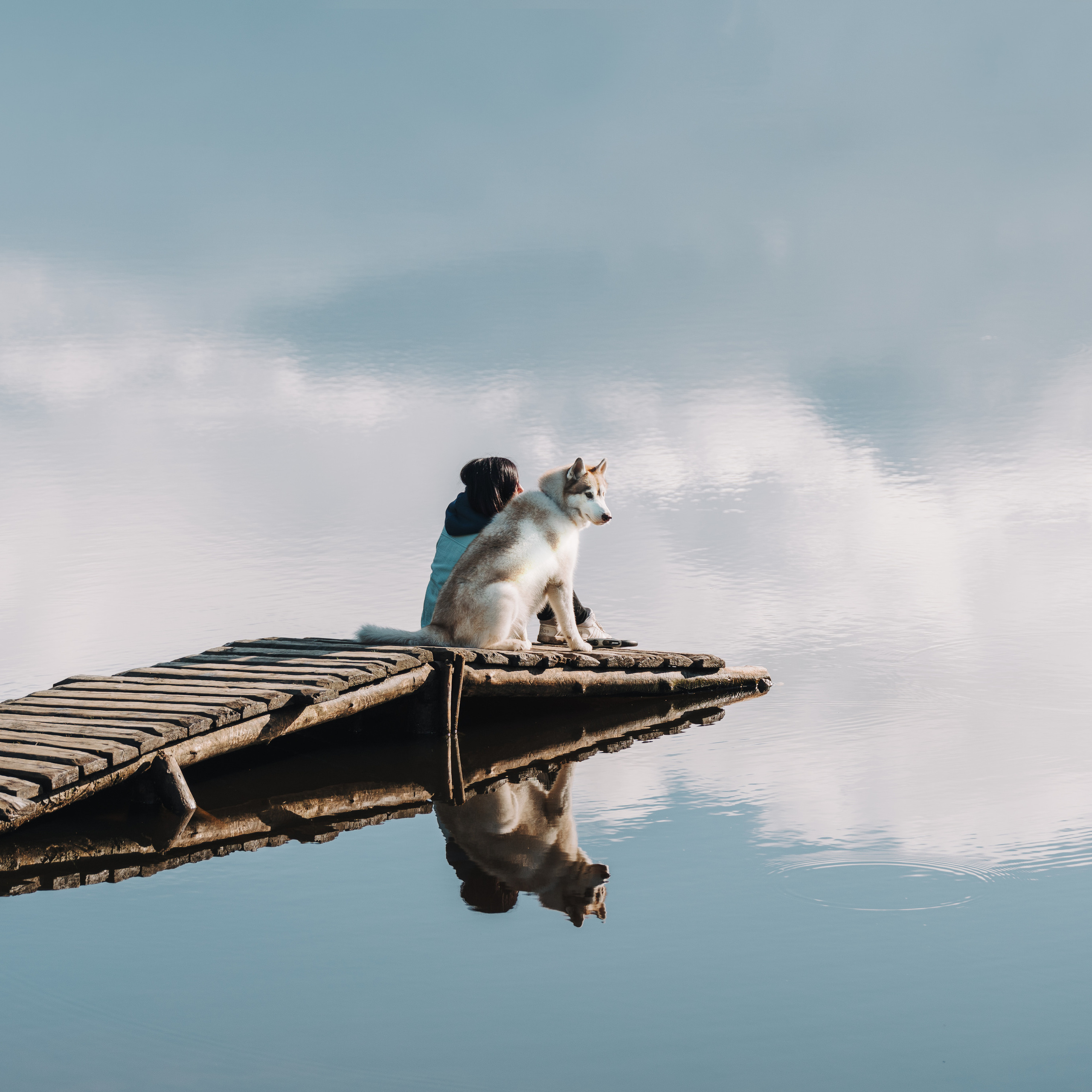 Прайс. Фотограф анималист Осипчикова Мария