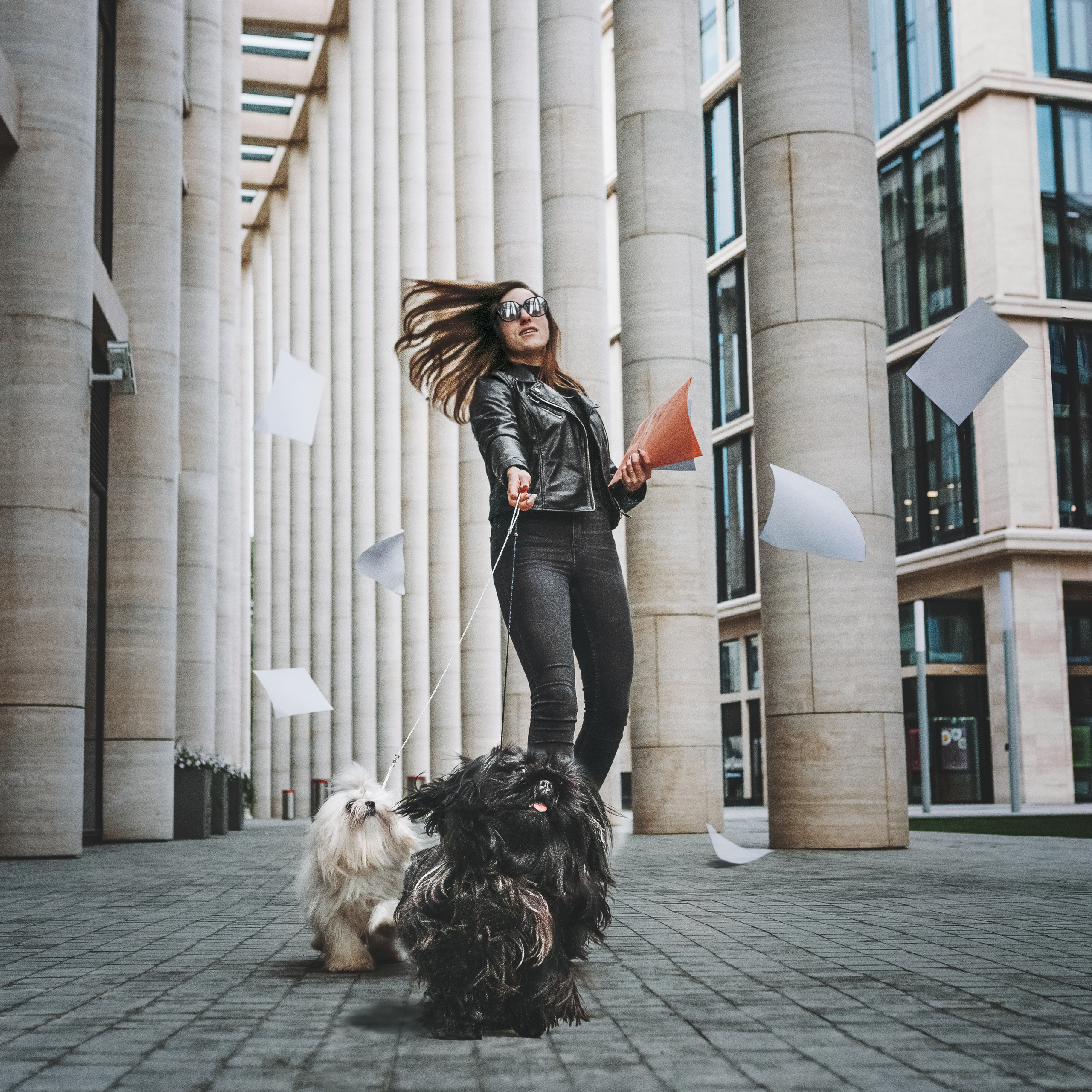 Прайс. Фотограф анималист Осипчикова Мария