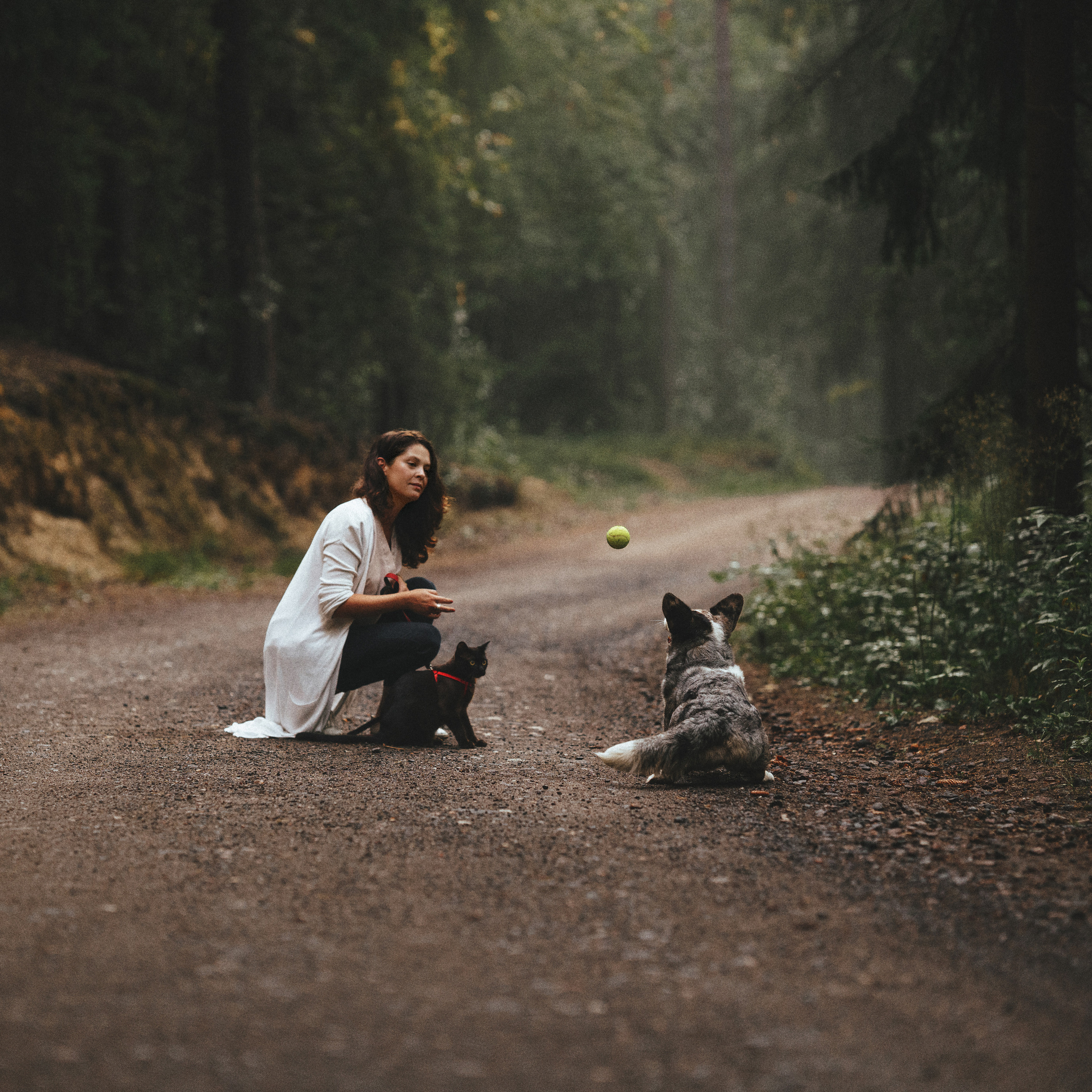 Отзывы. Фотограф анималист Осипчикова Мария