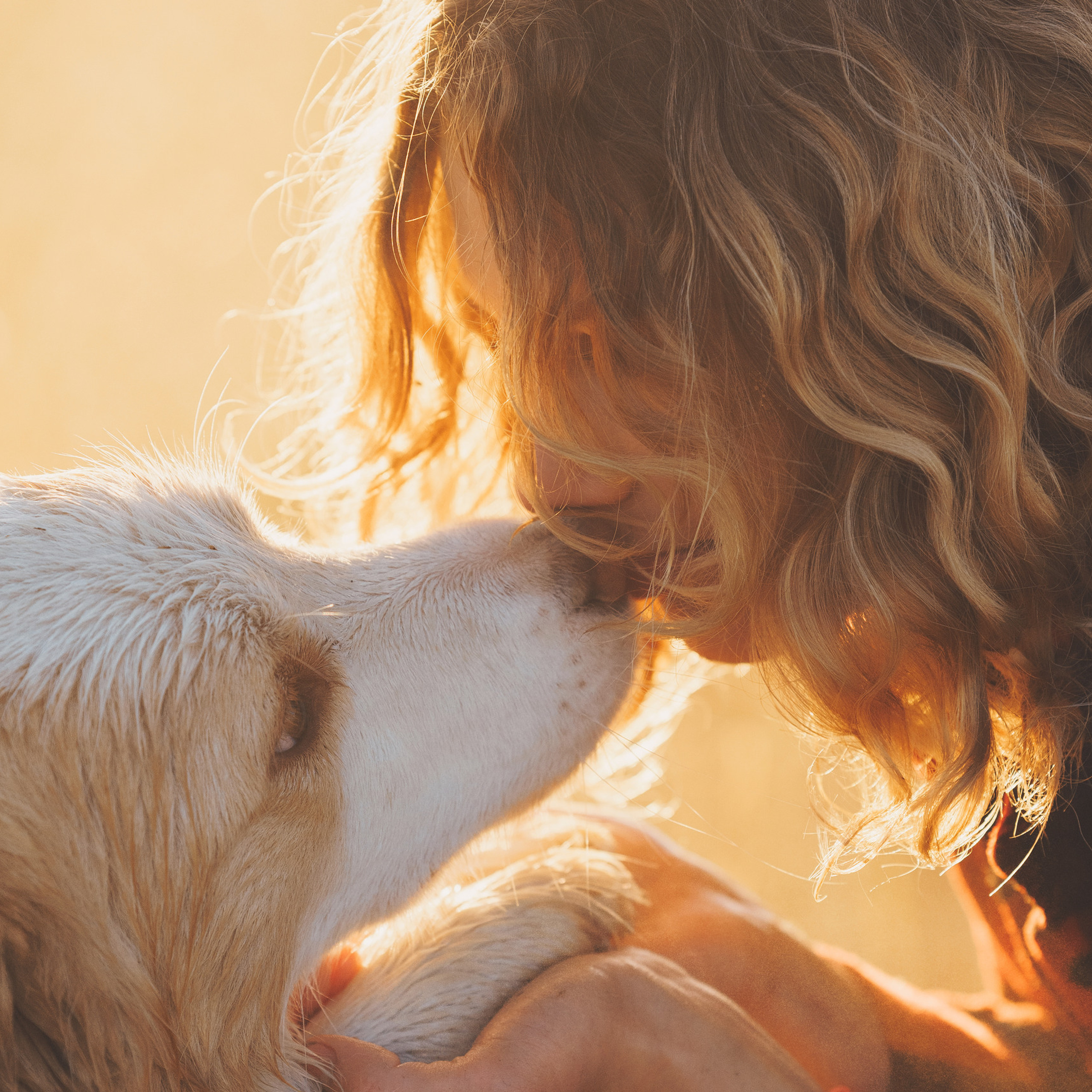 Отзывы. Фотограф анималист Осипчикова Мария