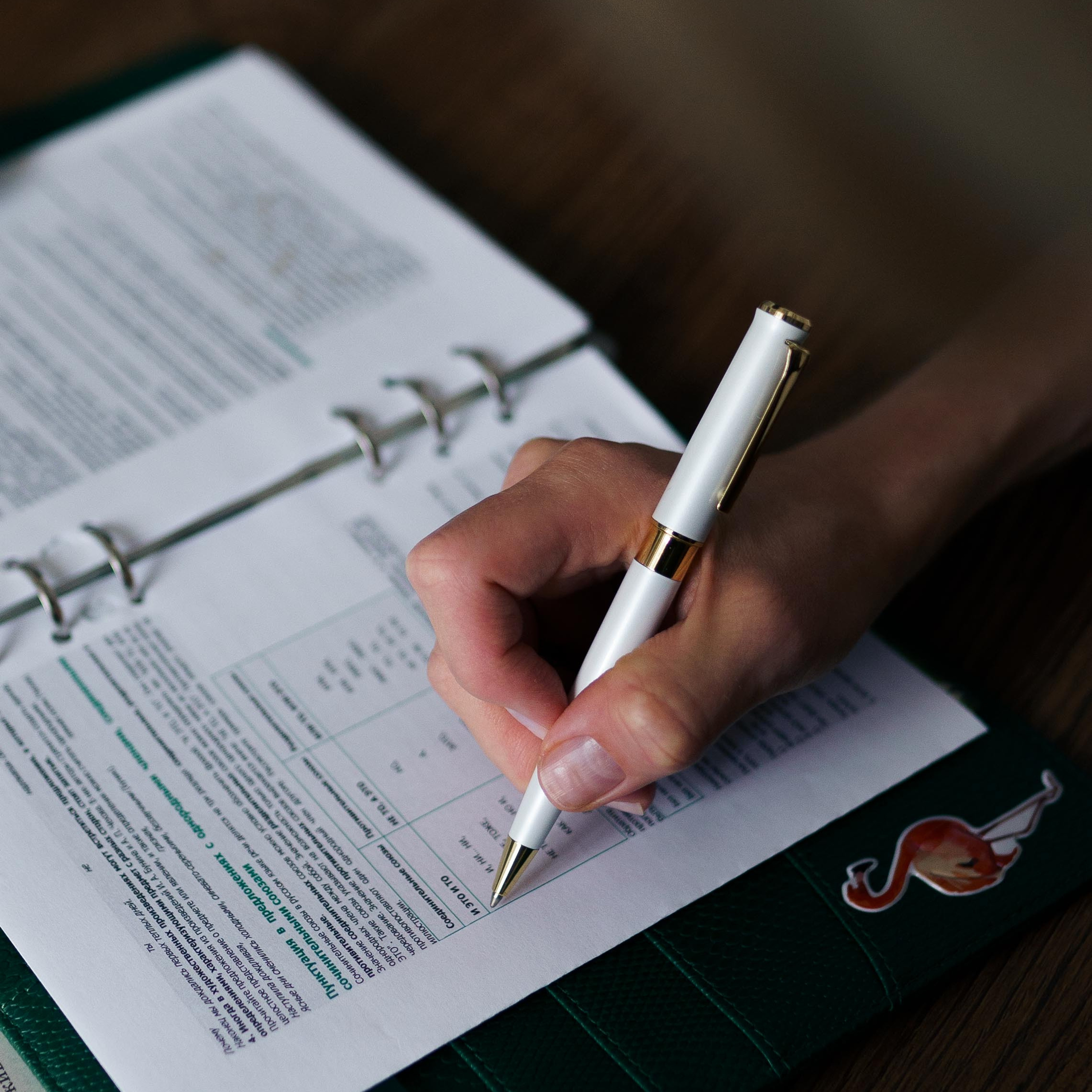 Репетитор по русскому языку