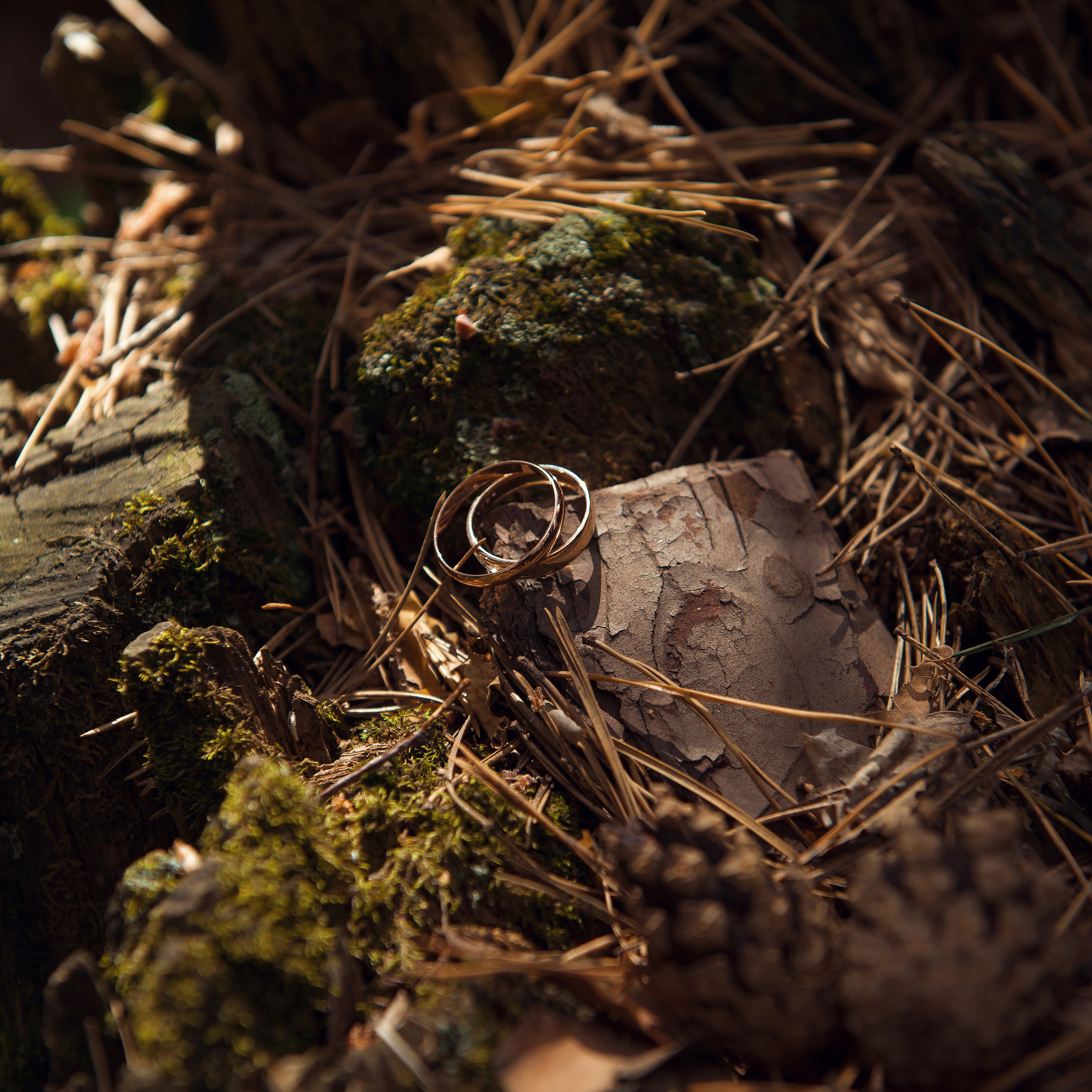 Отзывы. Фотограф Кристина Гришина Рязань
