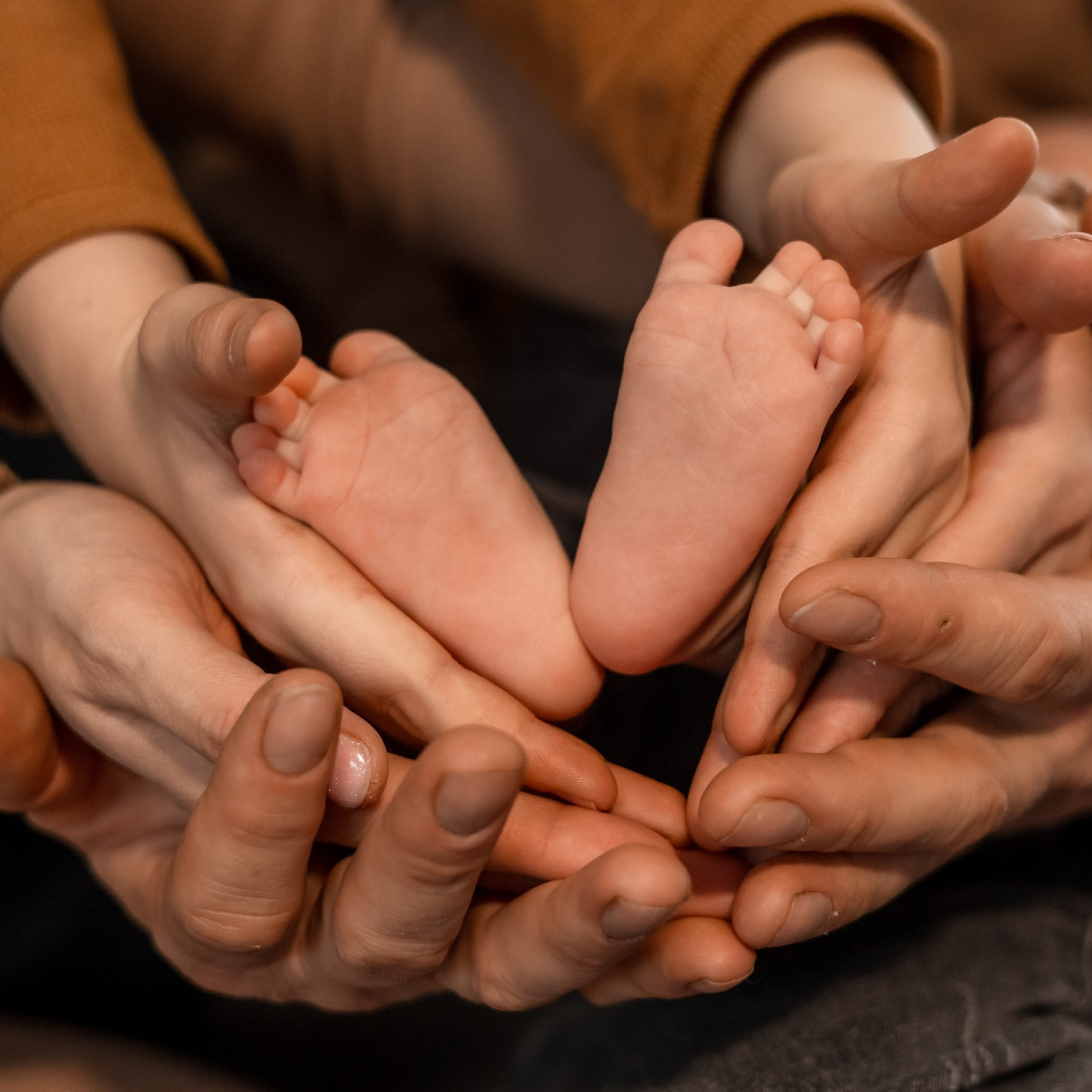 Отзывы. Фотограф в Старом Осколе, Губкине Надежда Приболовец