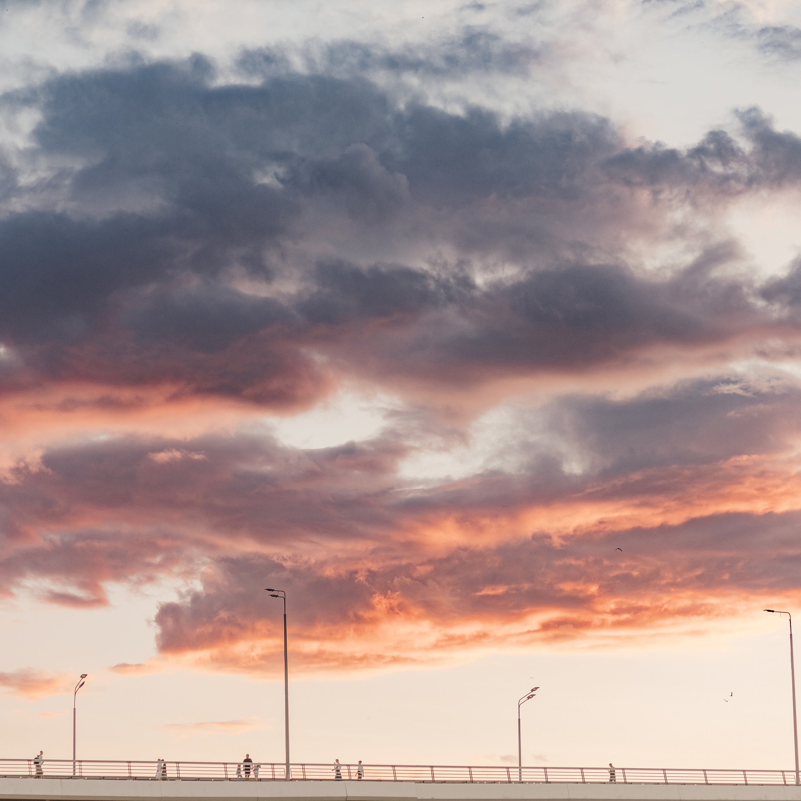 Отзывы. Свадебный фотограф в Ростове-на-Дону и Азове Малявка Анастасия