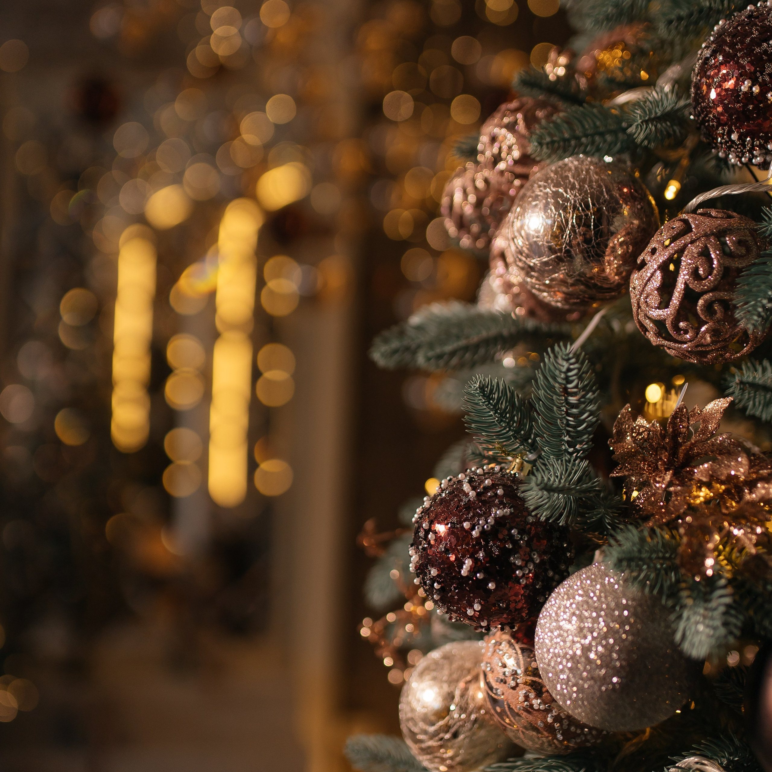 Отзывы. Свадебный фотограф в Ростове-на-Дону и Азове Малявка Анастасия