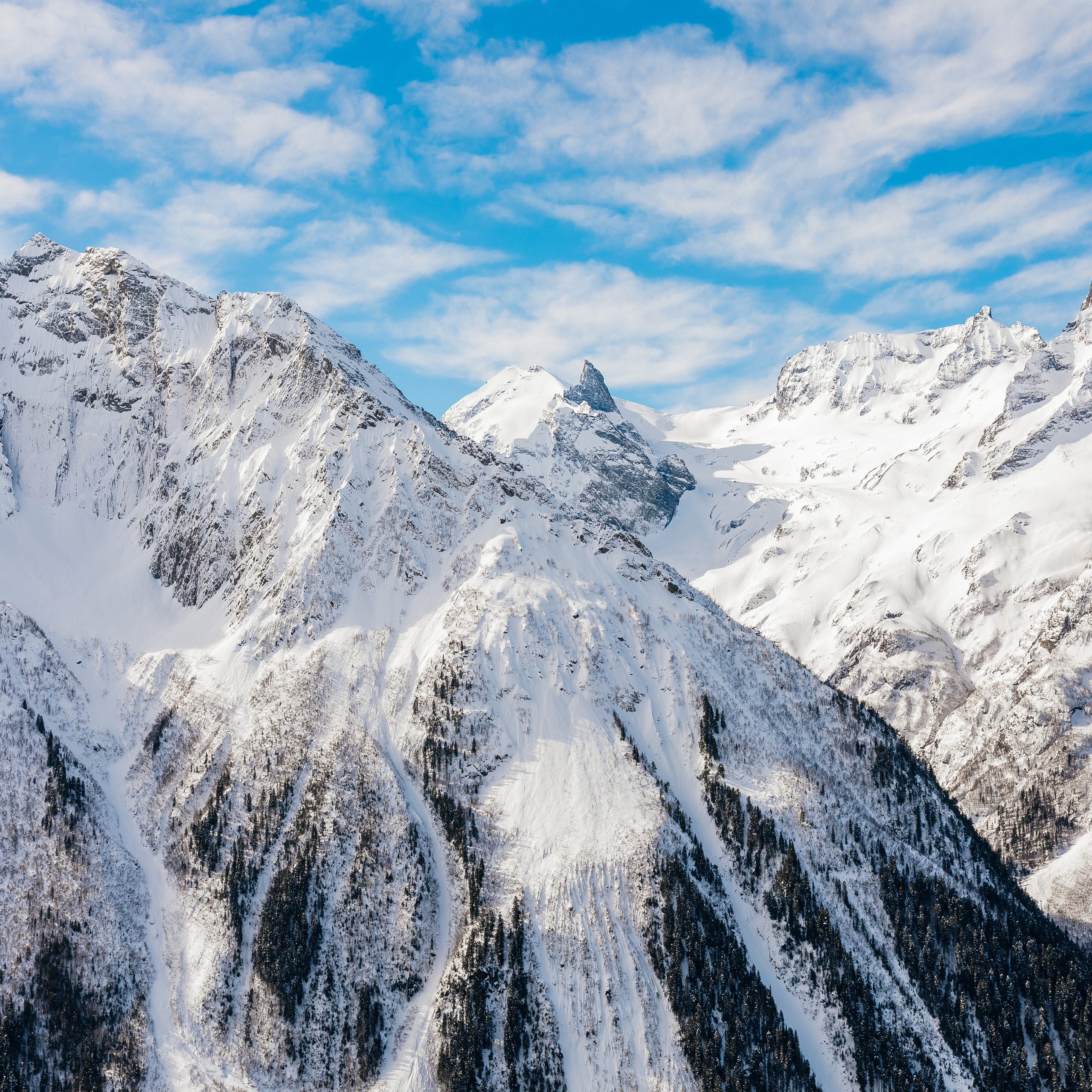 Отзывы. Свадебный фотограф в Ростове-на-Дону и Азове Малявка Анастасия