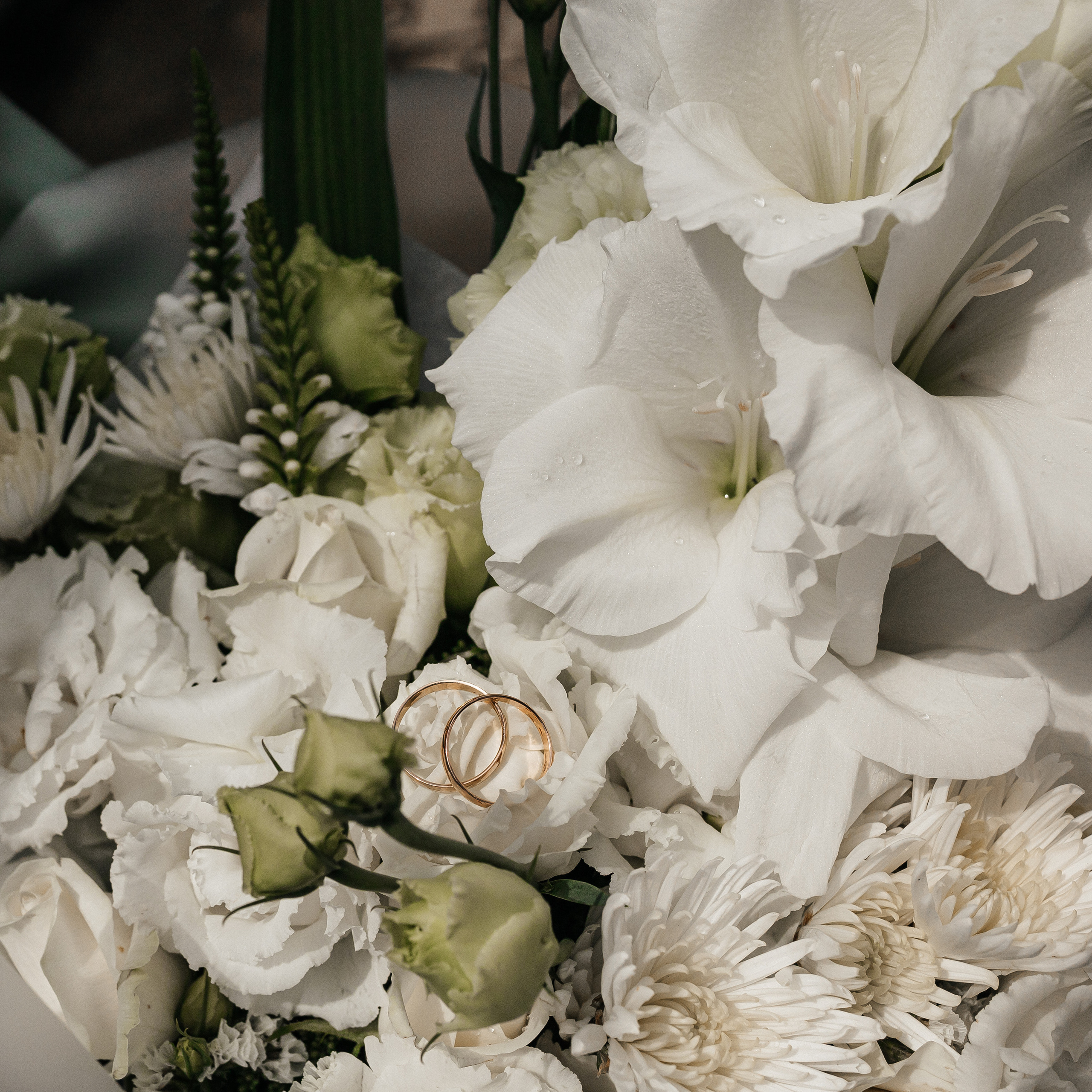 Отзывы. Свадебный фотограф в Ростове-на-Дону и Азове Малявка Анастасия