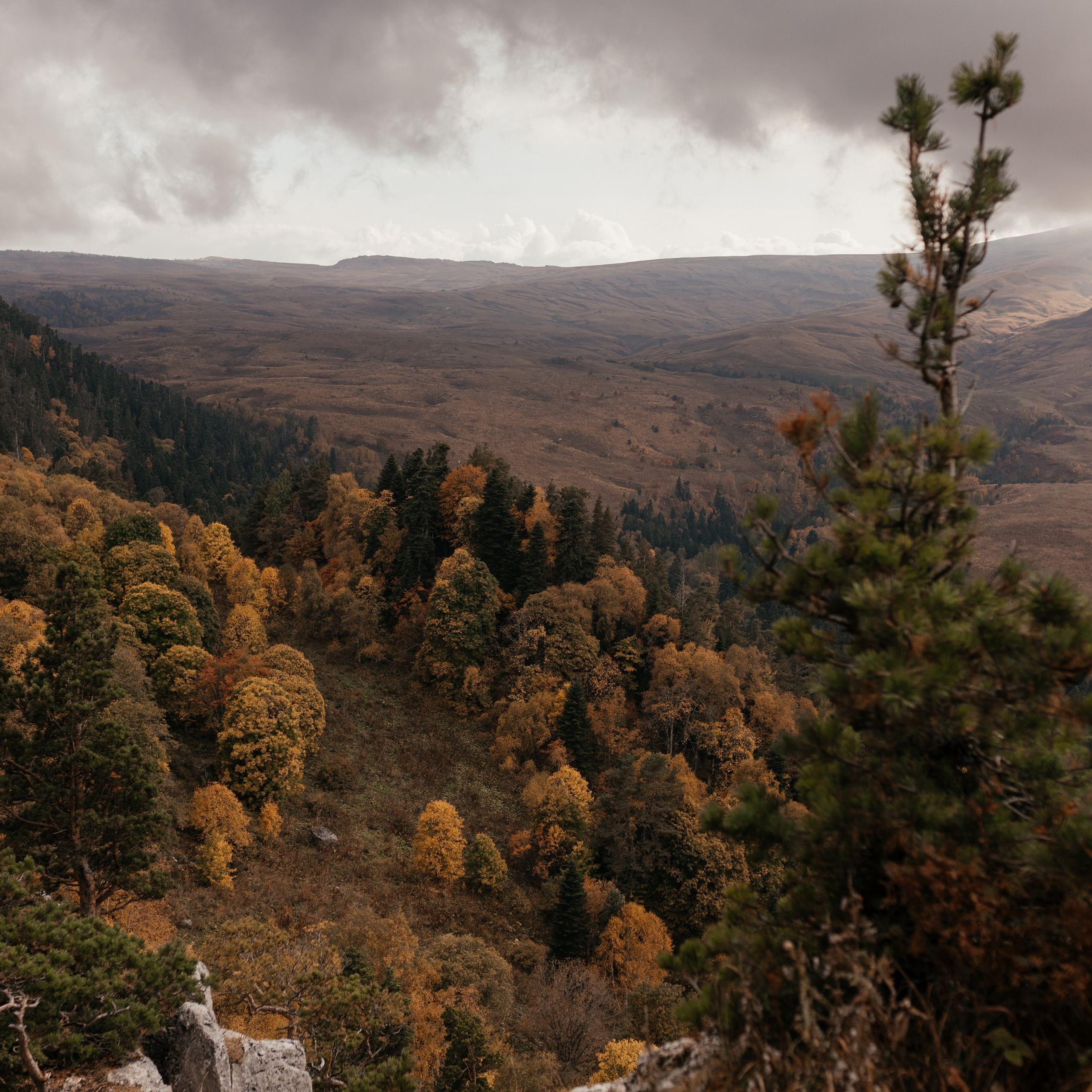 Отзывы. Свадебный фотограф в Ростове-на-Дону и Азове Малявка Анастасия
