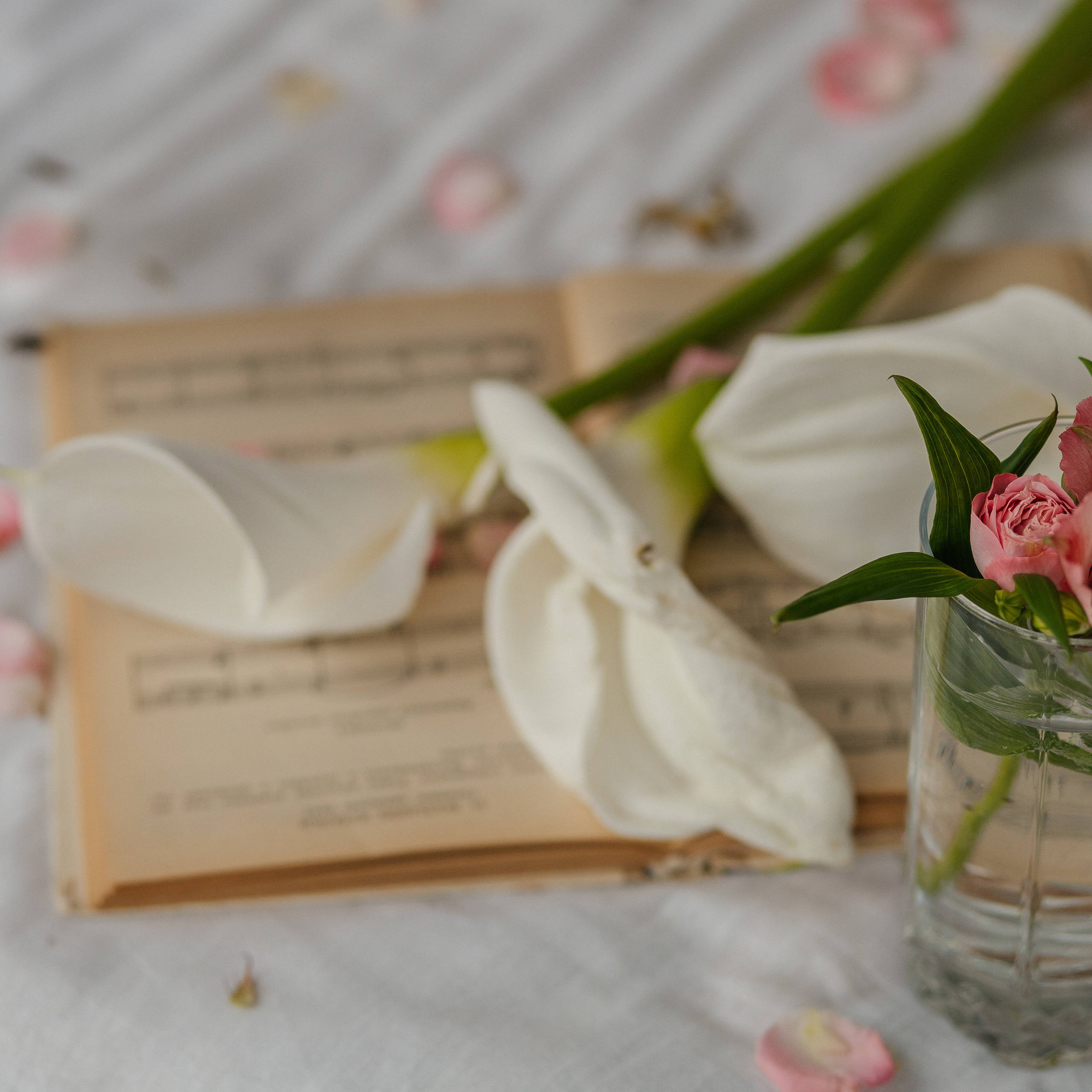 Отзывы. Свадебный фотограф в Ростове-на-Дону и Азове Малявка Анастасия