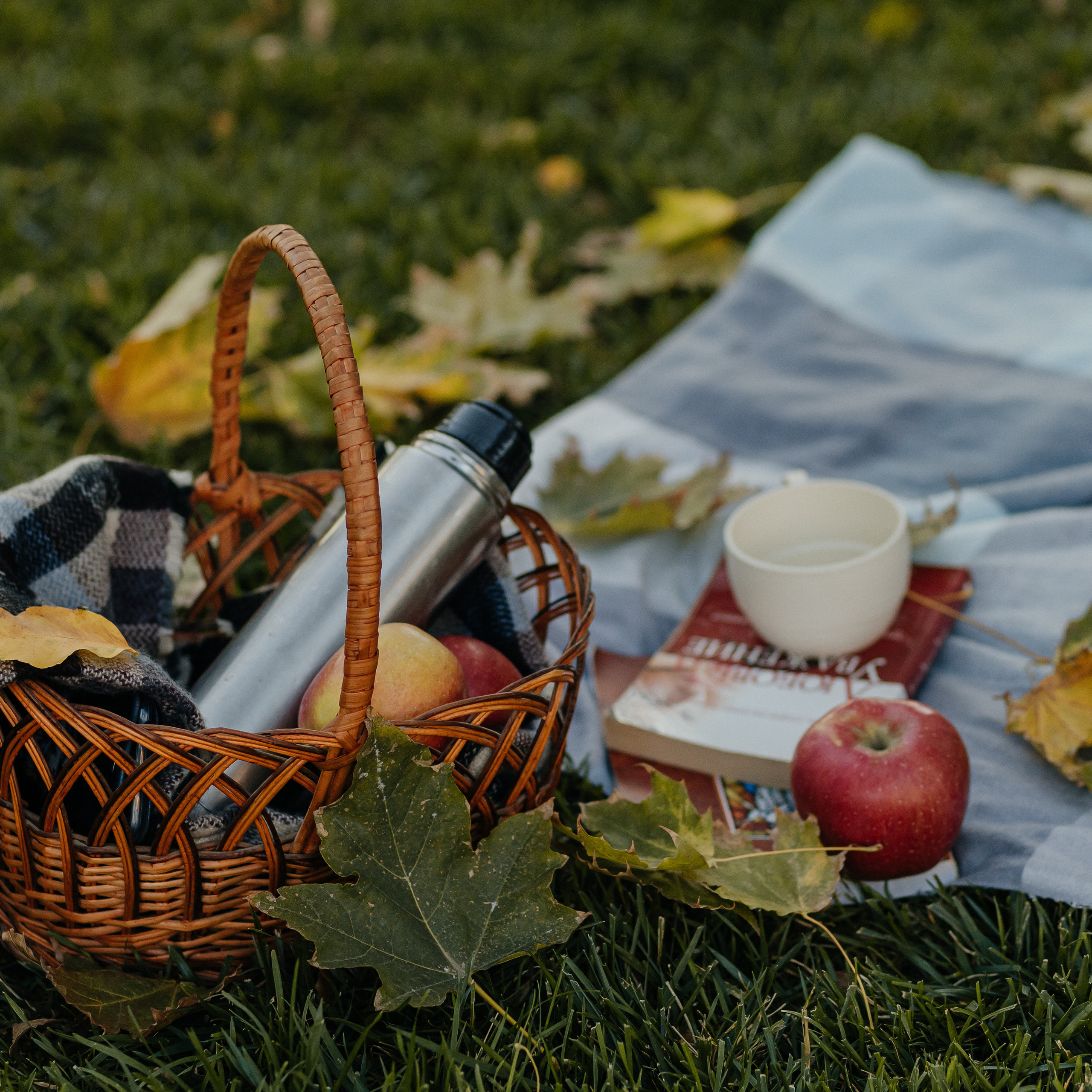 Отзывы. Свадебный фотограф в Ростове-на-Дону и Азове Малявка Анастасия