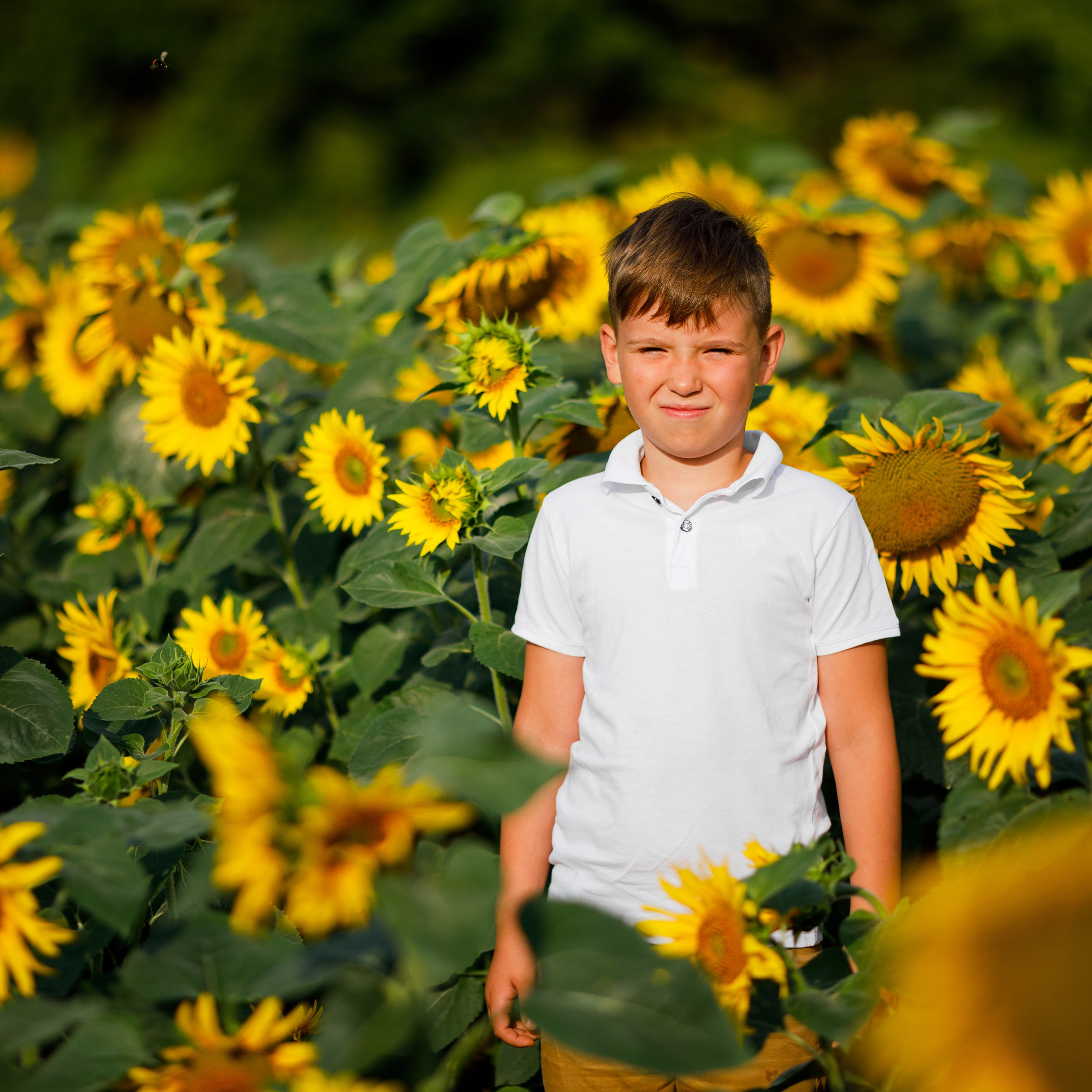 Семейная летняя фотосессия в подсолнухах. Дима Никитин свадебный и семейный фотограф в Ижевске и Удмуртии с 2007 года