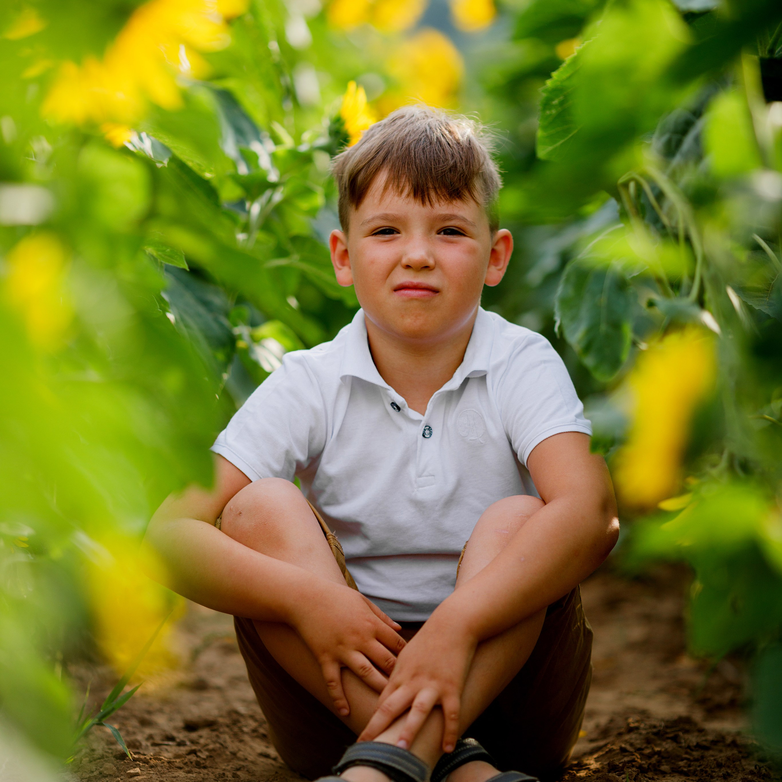 Семейная летняя фотосессия в подсолнухах. Дима Никитин свадебный и семейный фотограф в Ижевске и Удмуртии с 2007 года