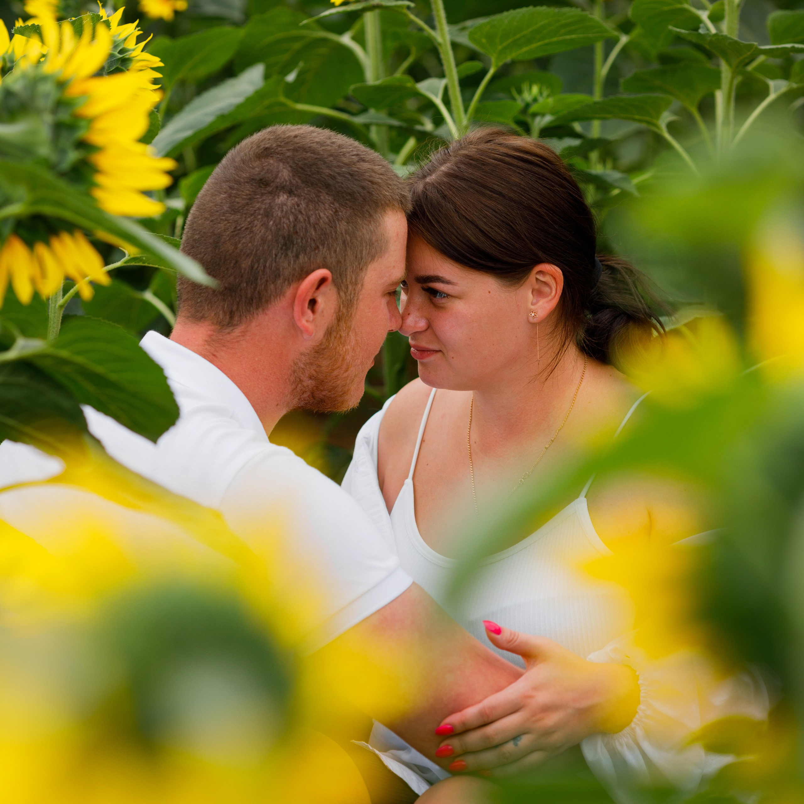 Семейная летняя фотосессия в подсолнухах. Дима Никитин свадебный и семейный фотограф в Ижевске и Удмуртии с 2007 года