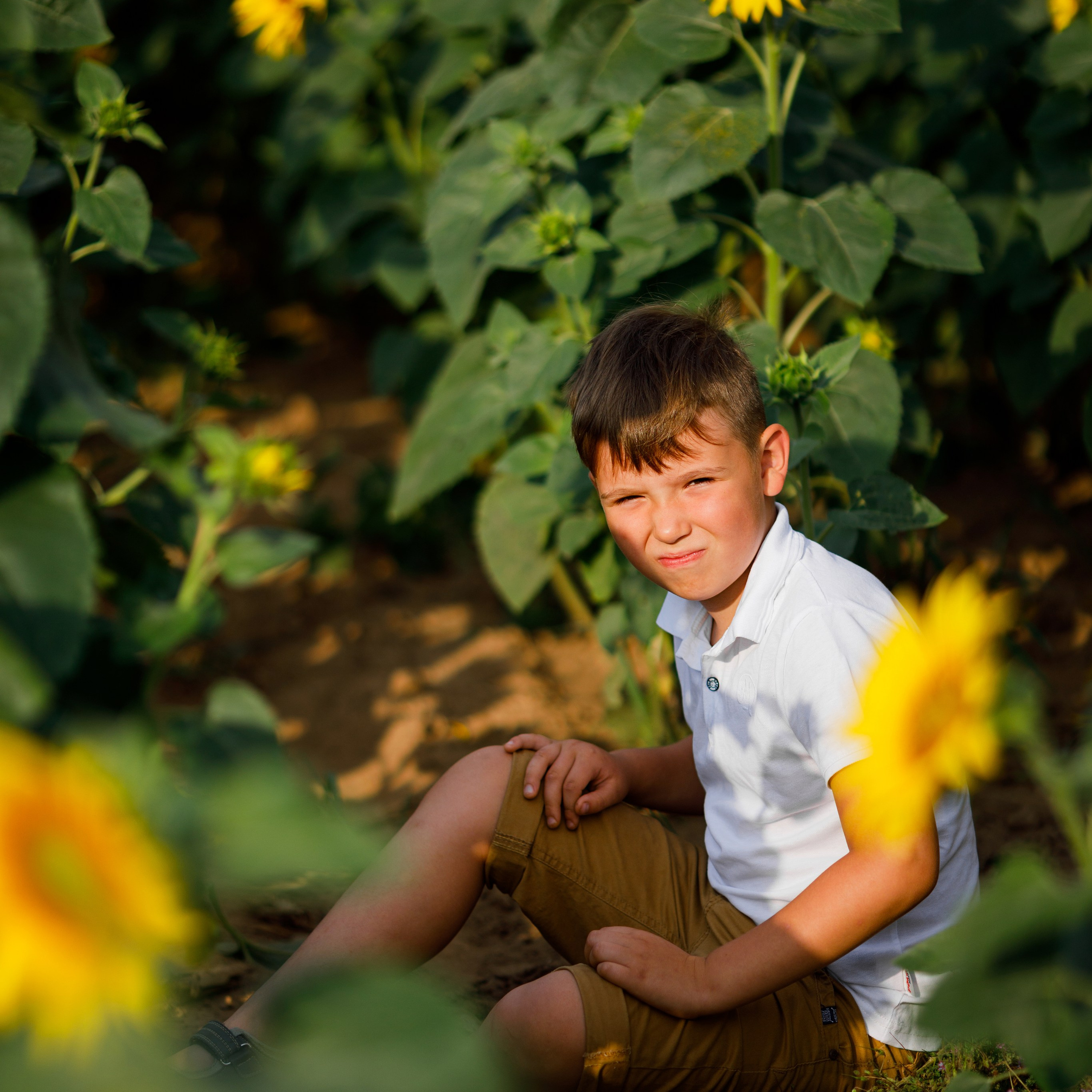 Семейная летняя фотосессия в подсолнухах. Дима Никитин свадебный и семейный фотограф в Ижевске и Удмуртии с 2007 года