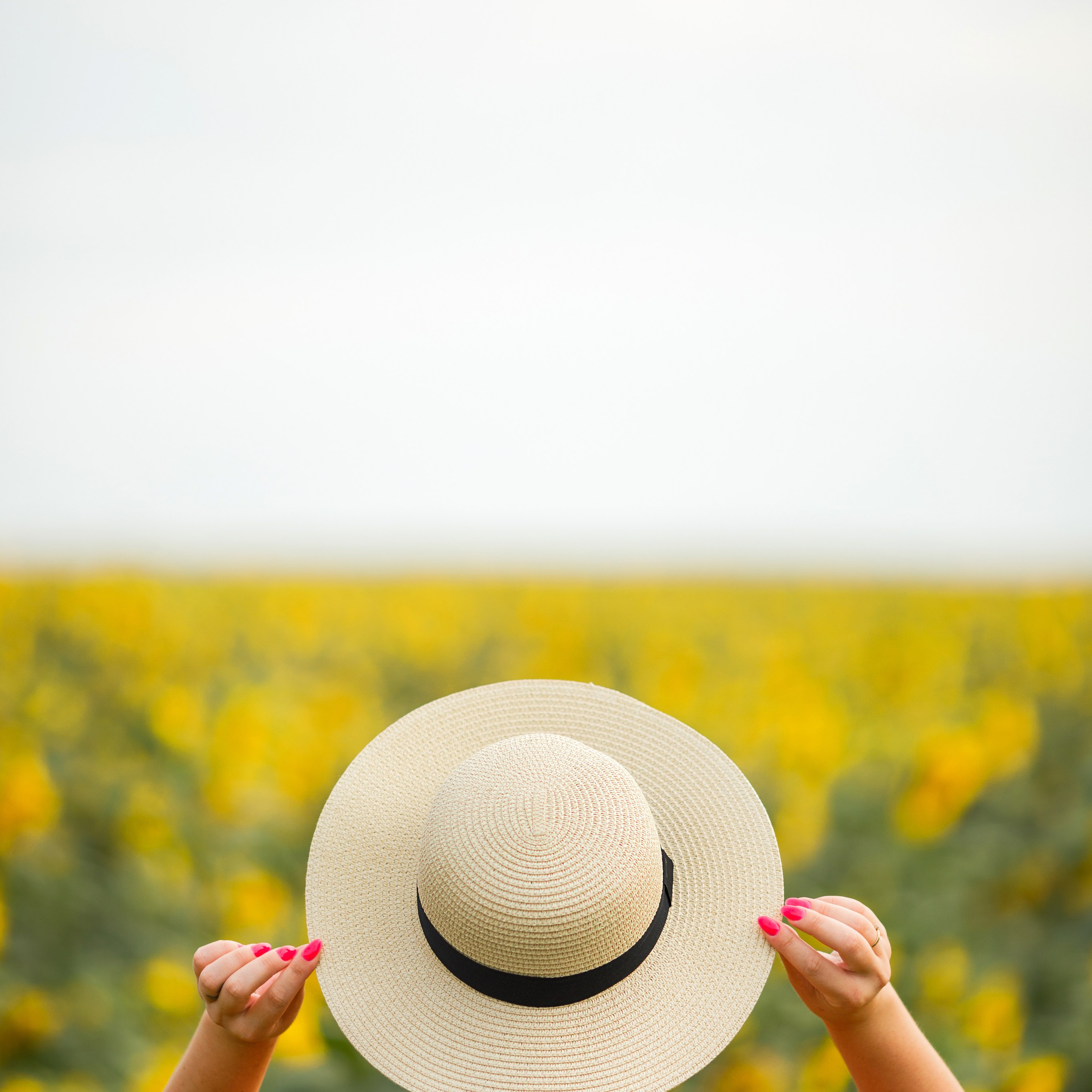 Летняя фотосессия в подсолнухах. Дима Никитин свадебный и семейный фотограф в Ижевске и Удмуртии с 2007 года