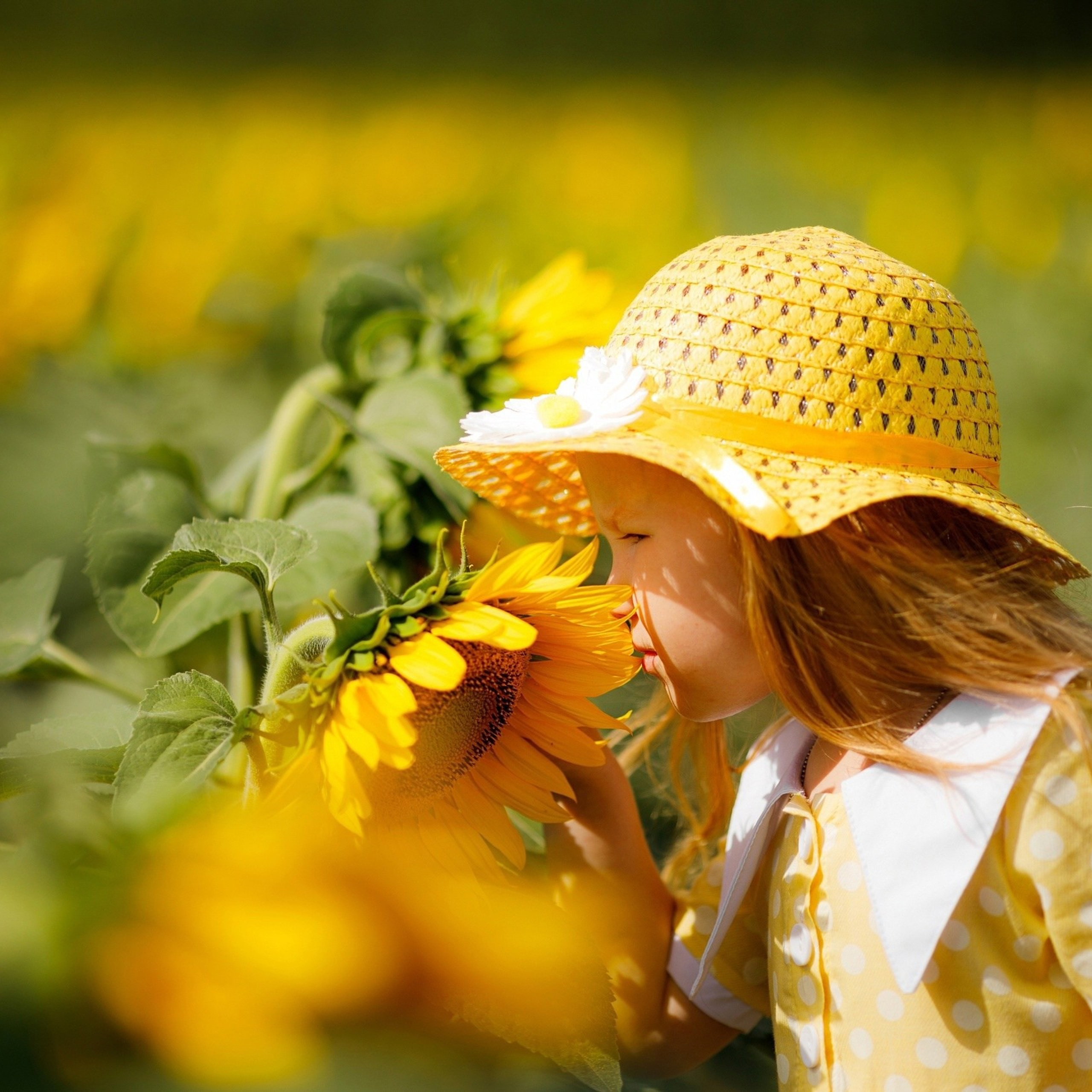 Детская фотосессия в подсолнухах. Дима Никитин свадебный и семейный фотограф в Ижевске и Удмуртии с 2007 года