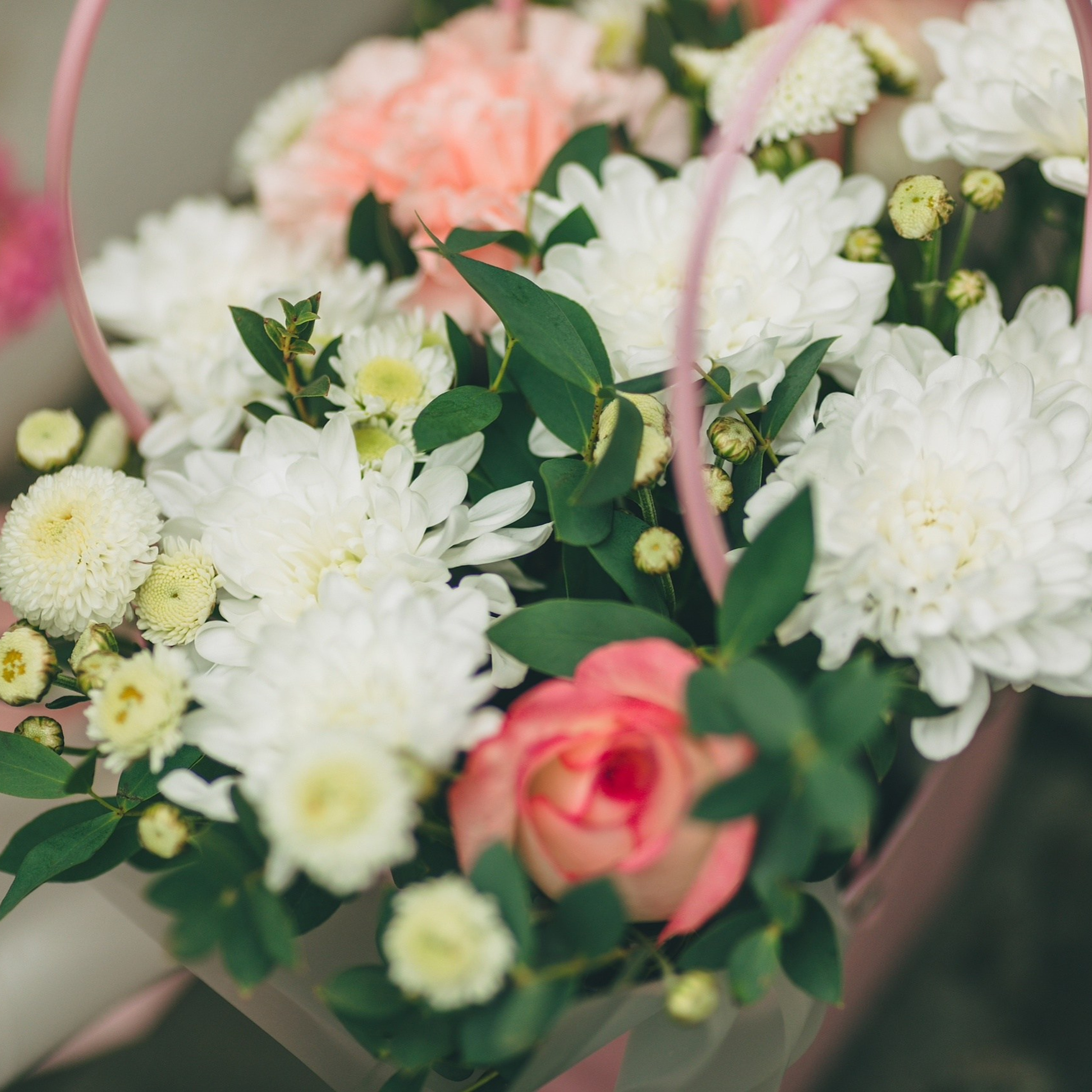 🌿💖 Их Love Story в зелени Ижевска! 💖🌿. Дима Никитин свадебный и семейный фотограф в Ижевске и Удмуртии с 2007 года