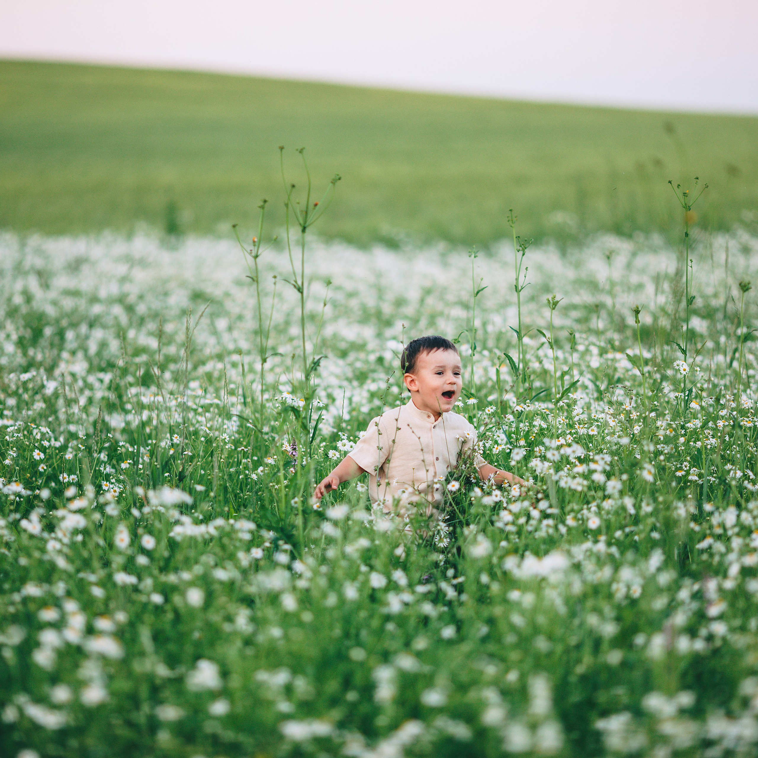 Большая семейная фотосессия за Ижевском в ромашковом поле. Дима Никитин свадебный и семейный фотограф в Ижевске и Удмуртии с 2007 года