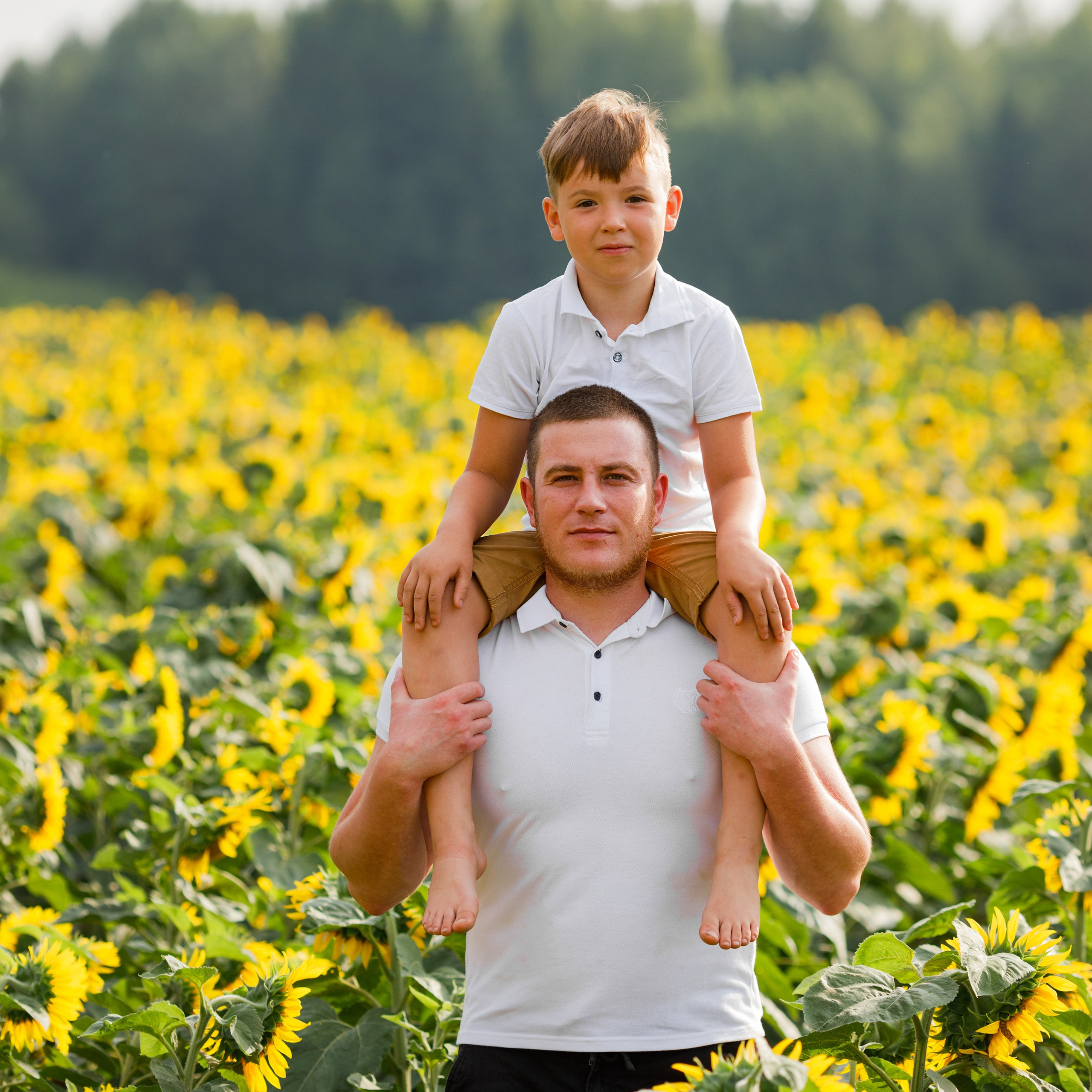 Семейная летняя фотосессия в подсолнухах. Дима Никитин свадебный и семейный фотограф в Ижевске и Удмуртии с 2007 года