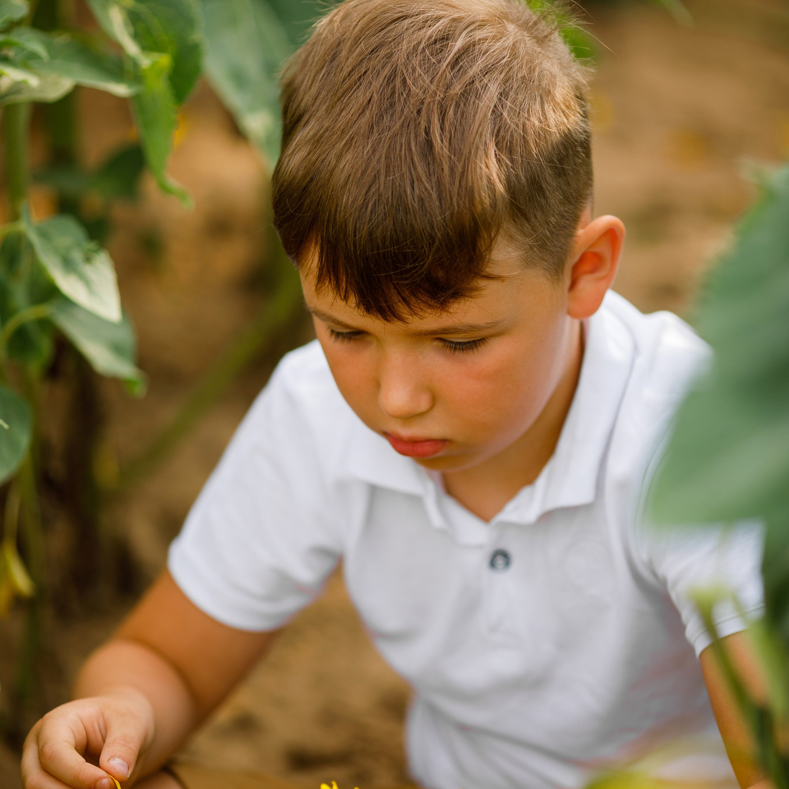 Семейная летняя фотосессия в подсолнухах. Дима Никитин свадебный и семейный фотограф в Ижевске и Удмуртии с 2007 года
