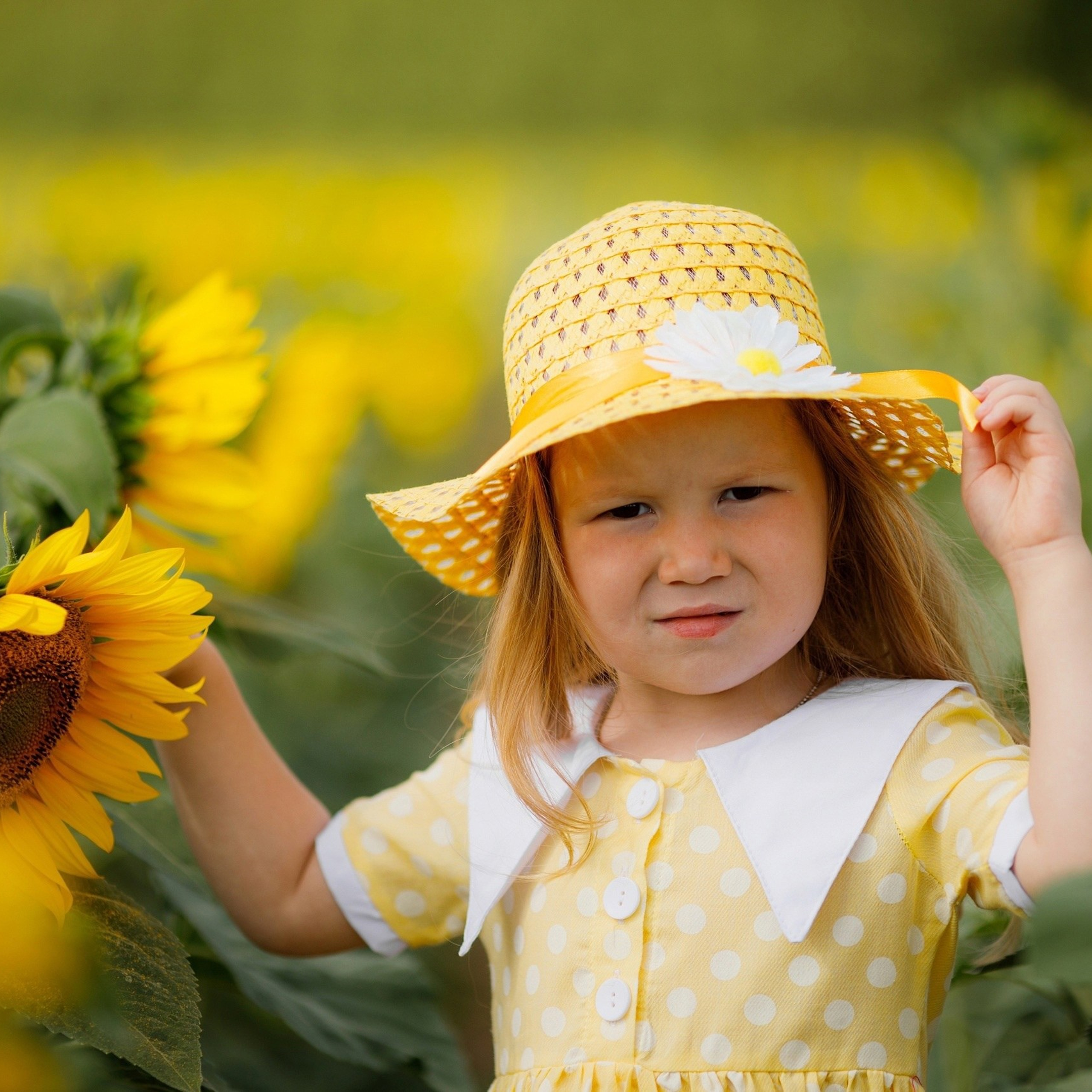 Детская фотосессия в подсолнухах. Дима Никитин свадебный и семейный фотограф в Ижевске и Удмуртии с 2007 года