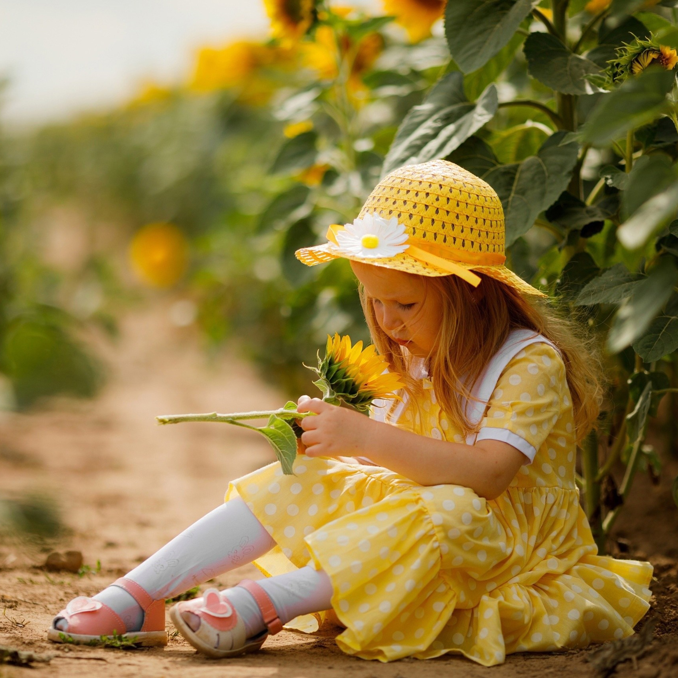 Детская фотосессия в подсолнухах. Дима Никитин свадебный и семейный фотограф в Ижевске и Удмуртии с 2007 года