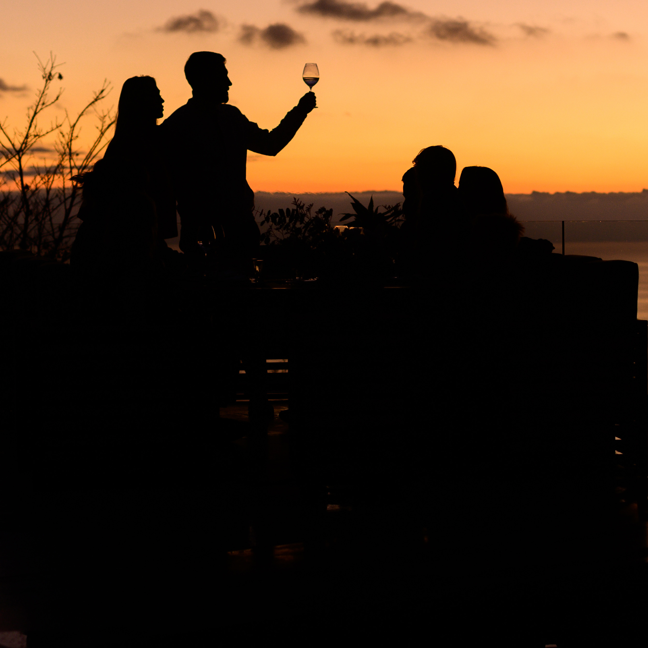 ФАРМСТАНДАРТ. Фотограф Сочи Александр Лашкул