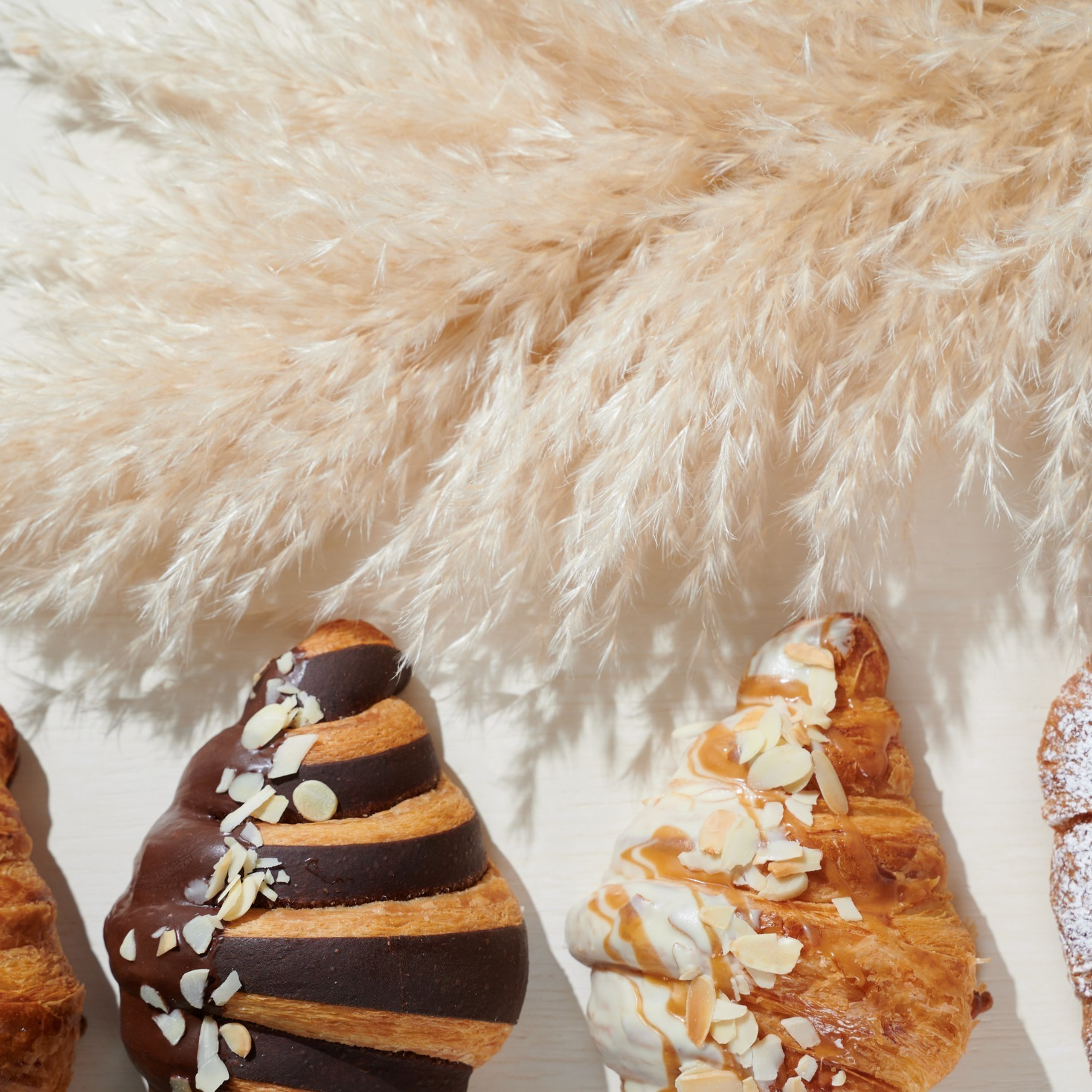 Отзывы. Фотограф Сочи Александр Лашкул