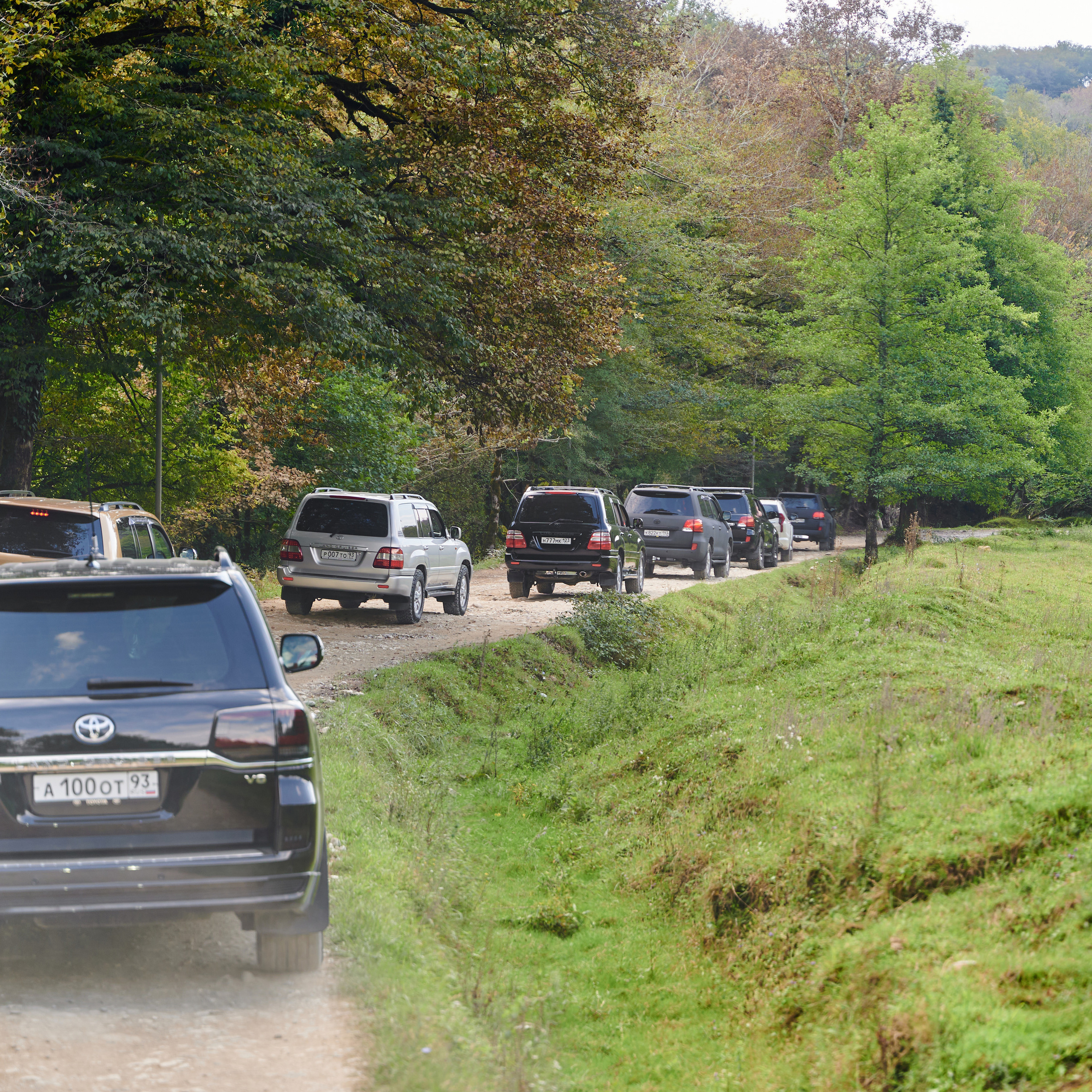 Отзывы. Фотограф Сочи Александр Лашкул