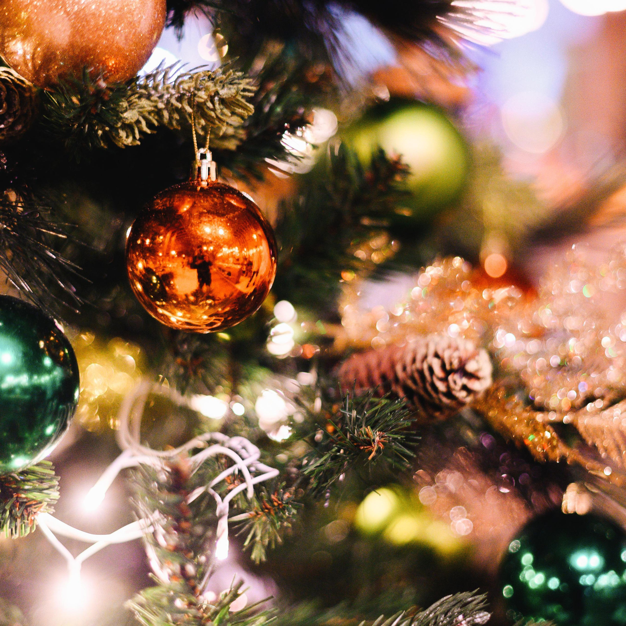 Отзывы. Фотограф Сочи Александр Лашкул