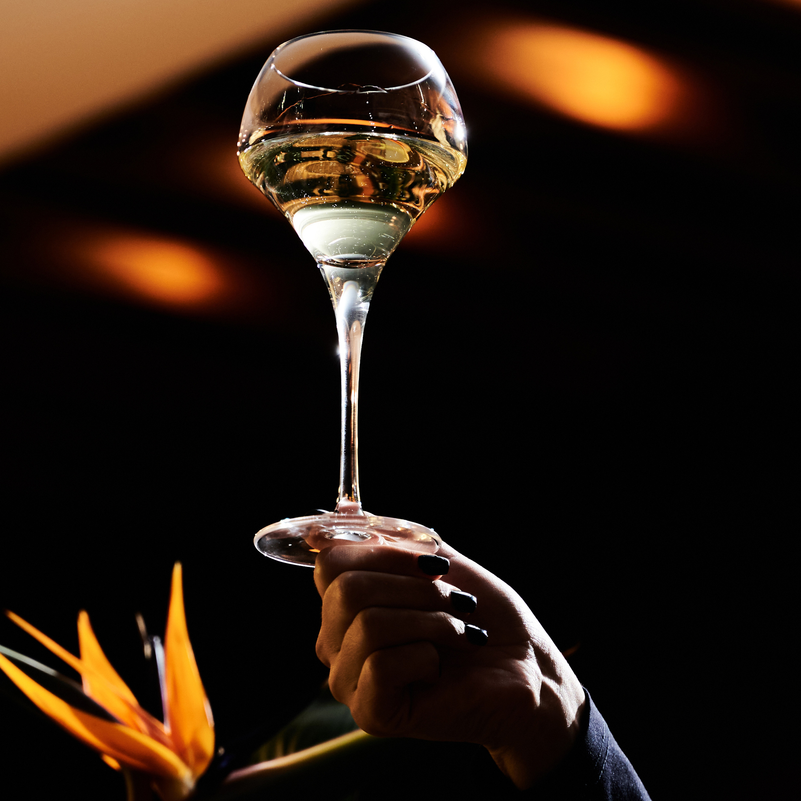 TELE2. Фотограф Сочи Александр Лашкул