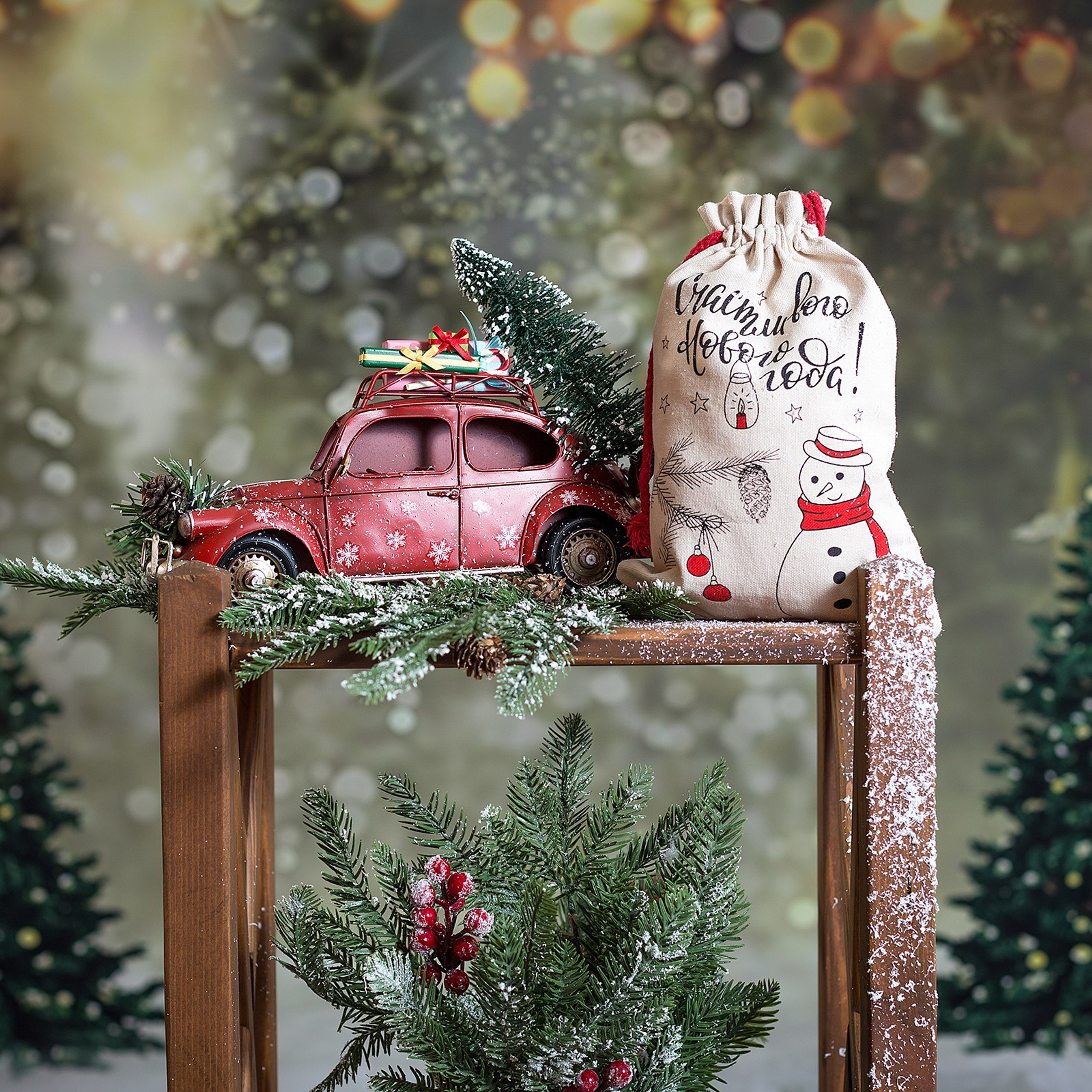 Новогодний фотопроект 2