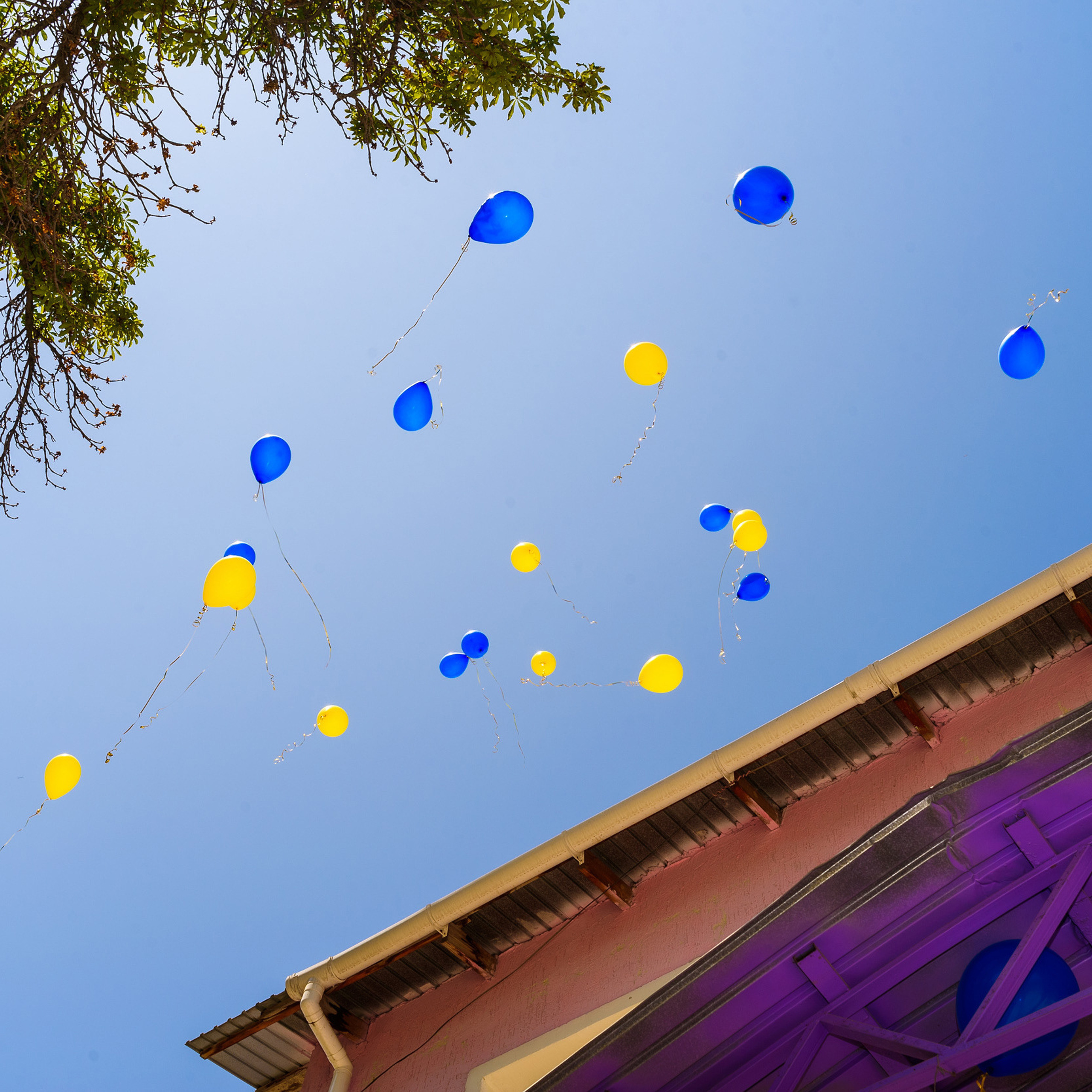 Отзывы. Михаил Клёшев — Профессиональный фотограф в Шымкенте и области