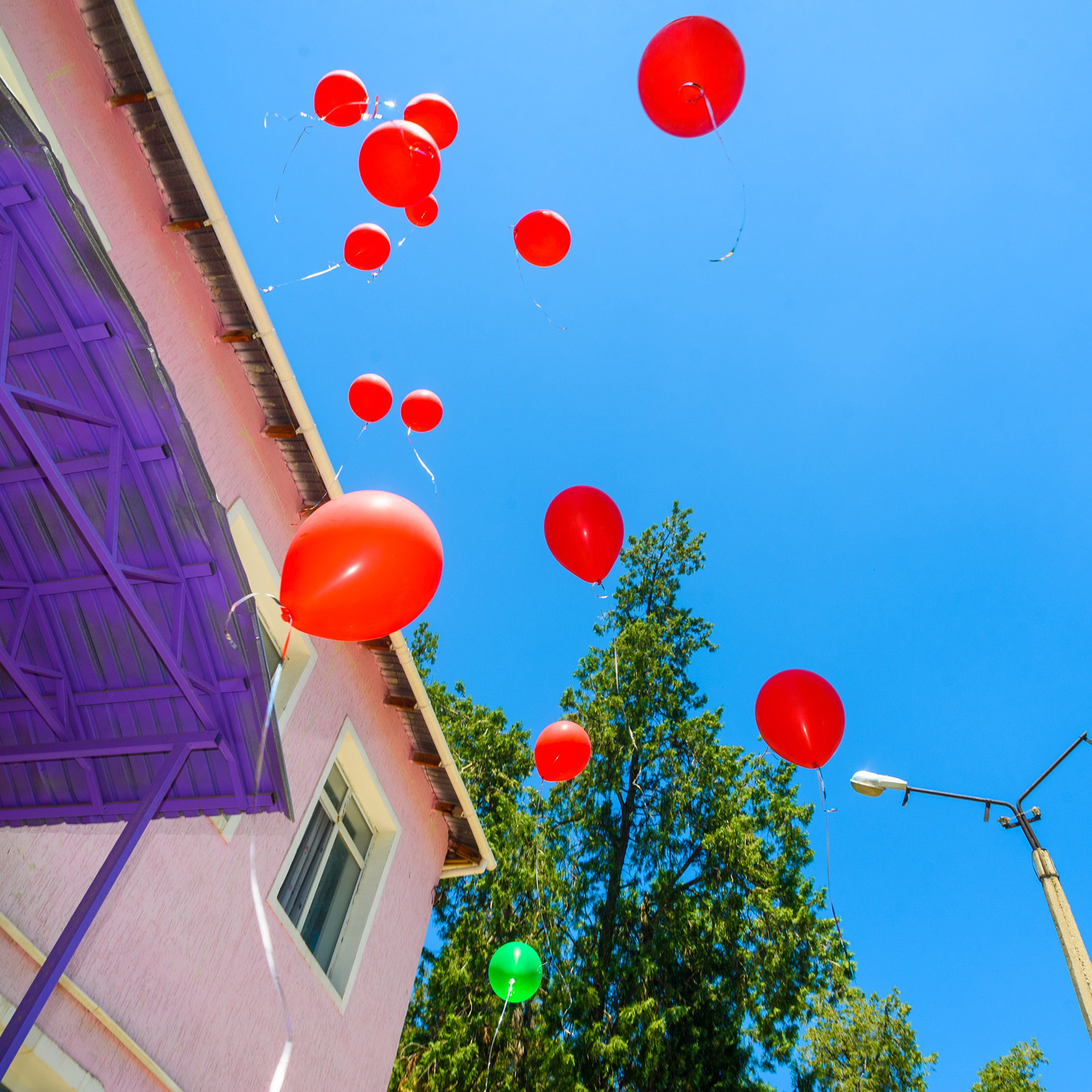 Отзывы. Михаил Клёшев — Профессиональный фотограф в Шымкенте и области